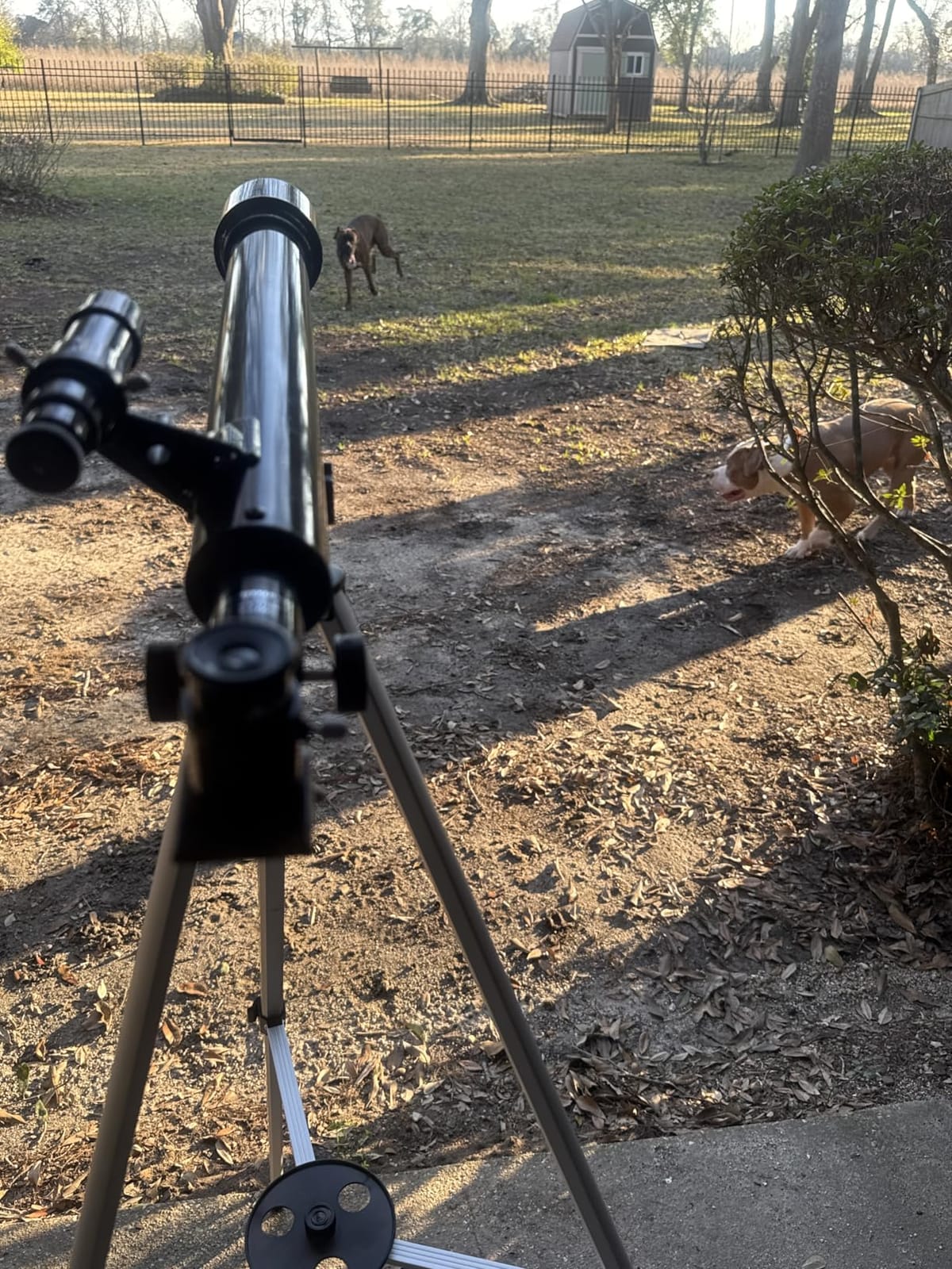 Celestron PowerSeeker 50AZ Grab-and-Go Beginner Refractor Telescope customer photo 1