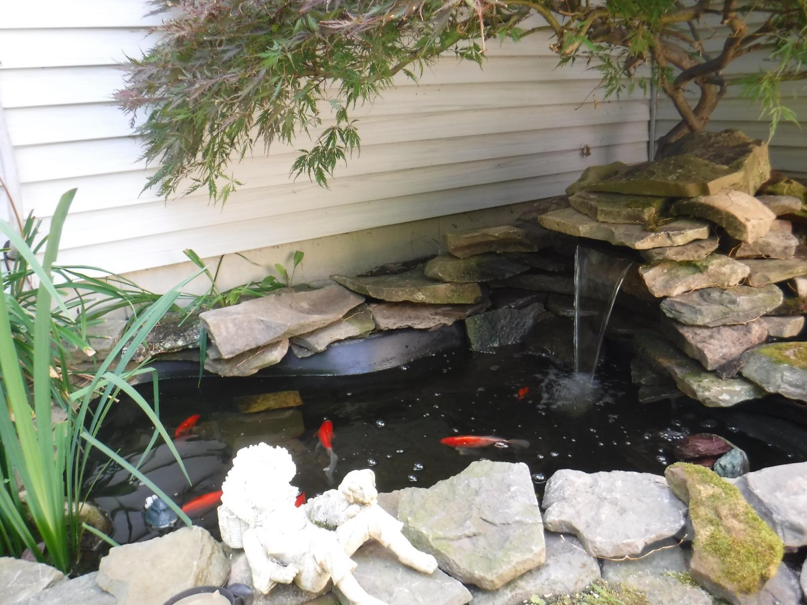 Tetra Pond Water Garden Pump, 1081 GPH customer photo 2