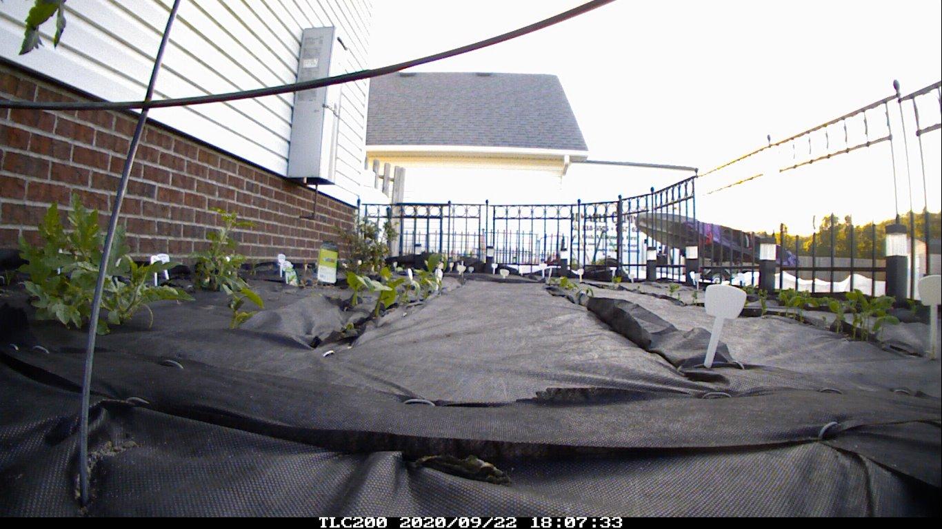 Brinno BCC100 Time Lapse Camera, Perfect for Construction and Outdoor Security – Includes Wall Mount and Weather Resistant Outdoor Housing customer photo 1