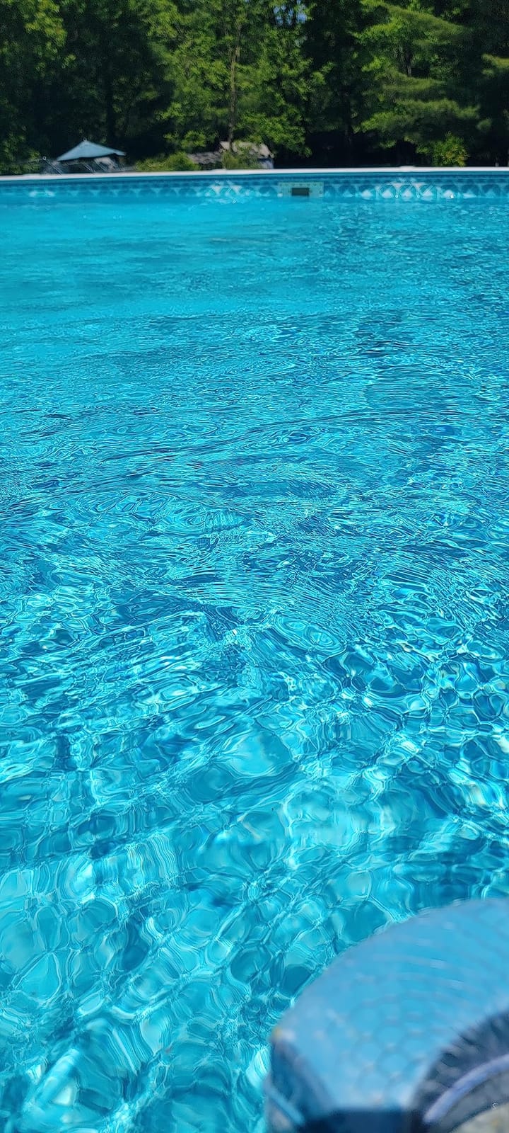 Pentair 360100 Kreepy Krauly Lil Shark Above Ground Pool Cleaner customer photo 1