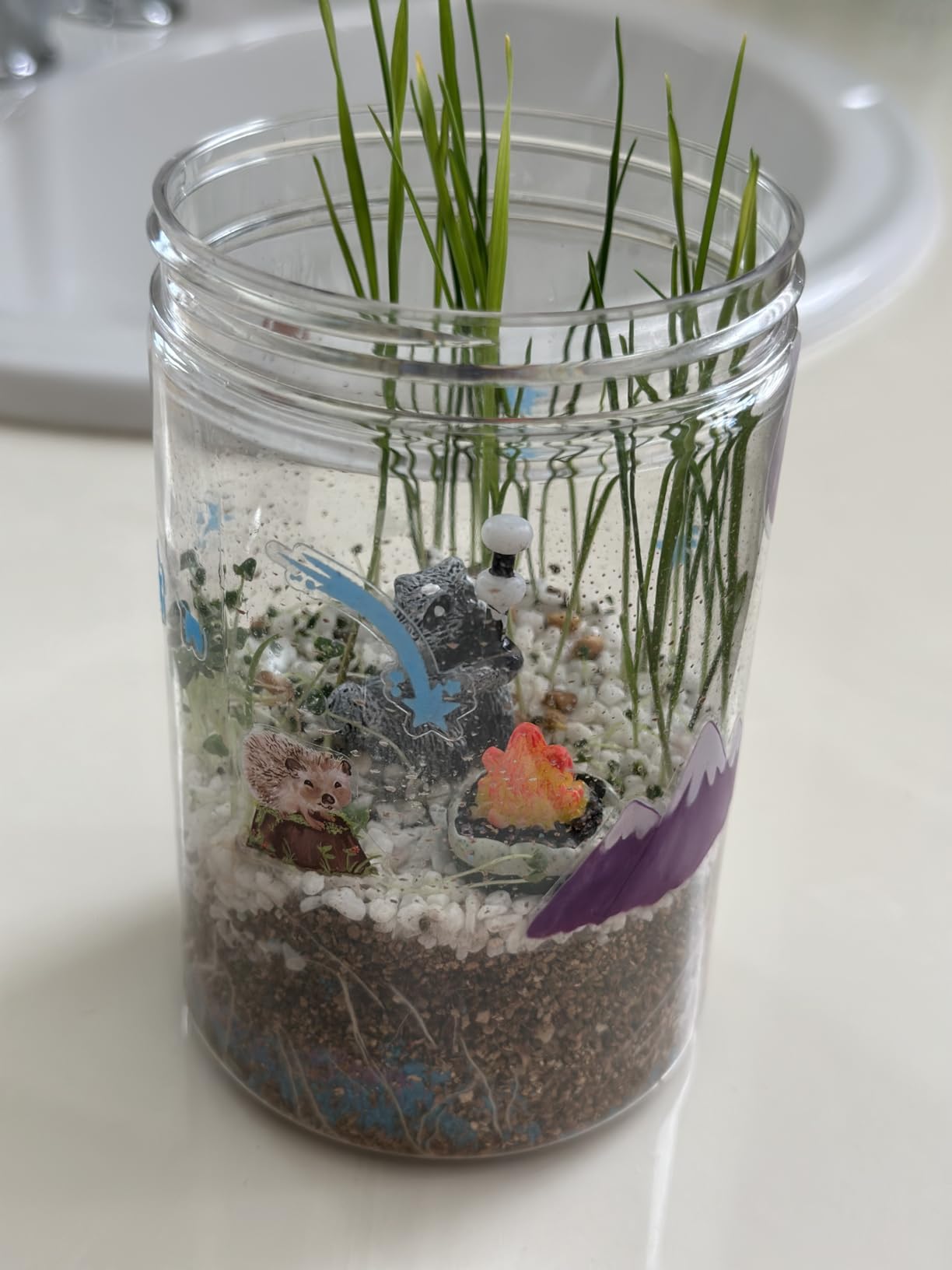 Creativity for Kids Grow 'N Glow Terrarium Kit - Educational Science Kits | Screen Free Summer Fun Activities | Gifts for Boys and Girls | Craft and STEM Projects (Ages 6+) customer photo 1