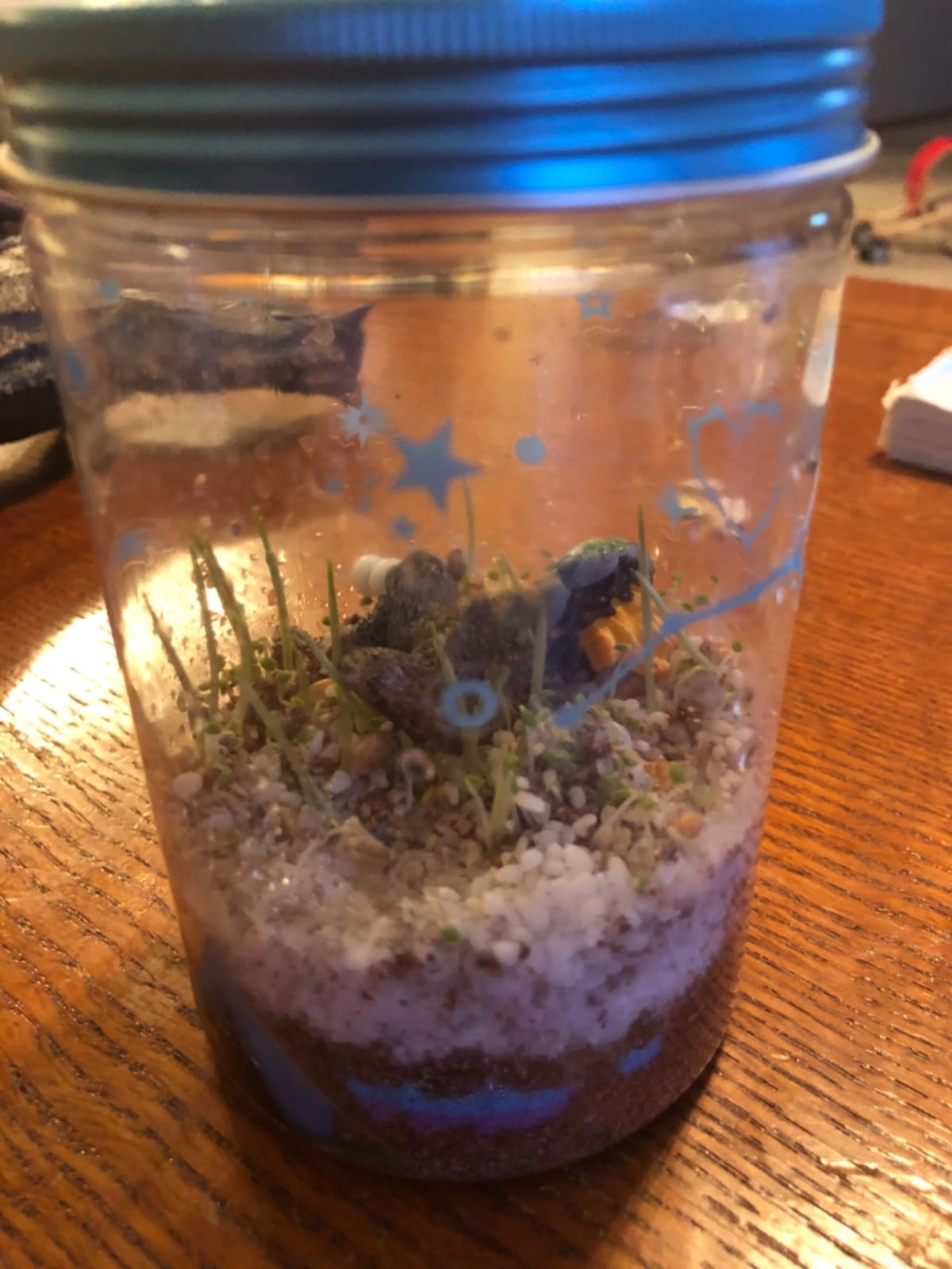 Creativity for Kids Grow 'N Glow Terrarium Kit - Educational Science Kits | Screen Free Summer Fun Activities | Gifts for Boys and Girls | Craft and STEM Projects (Ages 6+) customer photo 2