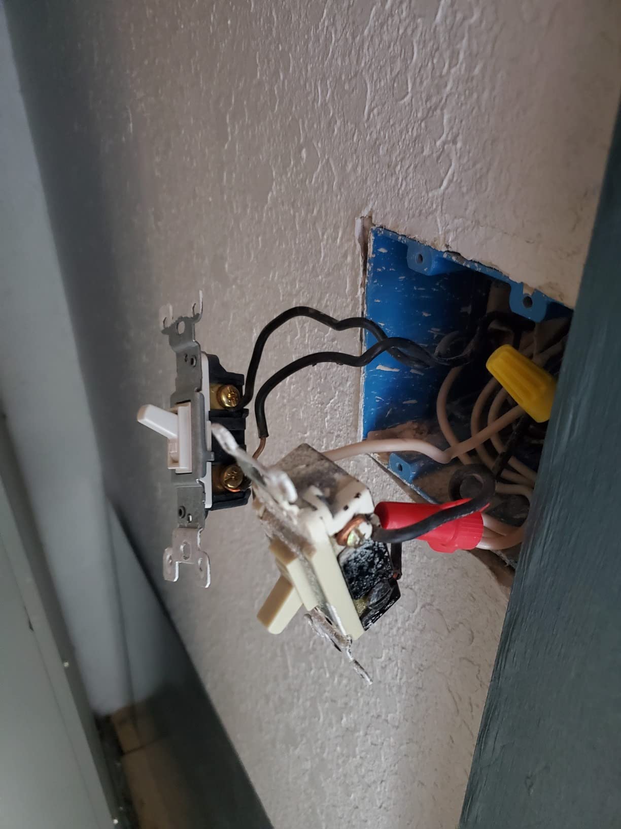 Lutron Caseta Smart Dimmer Switch (Smart Hub Required), No Neutral Required customer photo 2