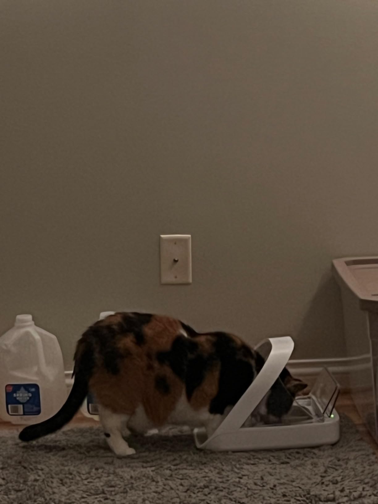 Sure Petcare -SureFlap - SureFeed - Microchip Pet Feeder - Selective-Automatic Pet Feeder Makes Meal Times Stress-Free, Suitable for Both Wet and Dry Food - MPF001 customer photo 2