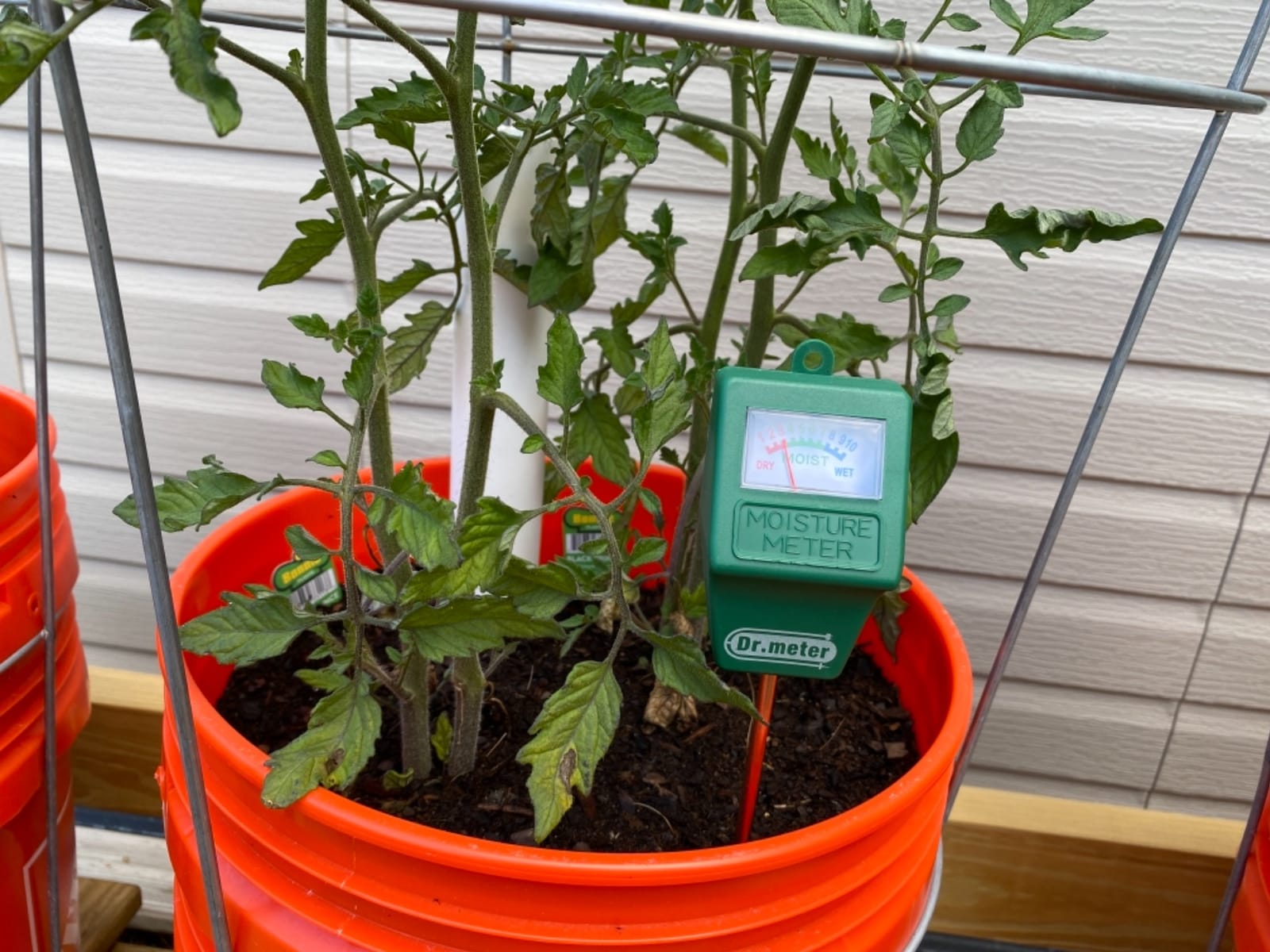 Dr.meter Soil Moisture Meter for Plants, Plant Water Gauge Test Kit customer photo 1