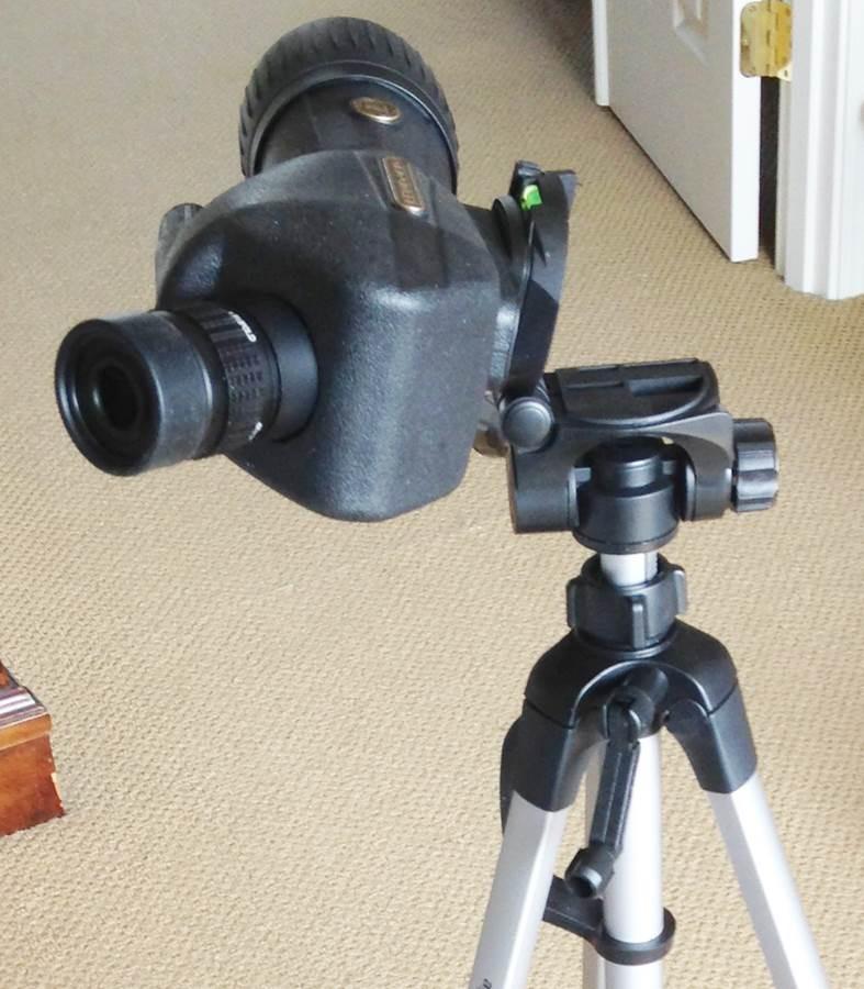 Amazon Basics 50-inch Lightweight Portable Camera Tripod Stand with Quick-Release Plate, Adjustable Height, Aluminum, for Travel Photography, Champagne customer photo 1
