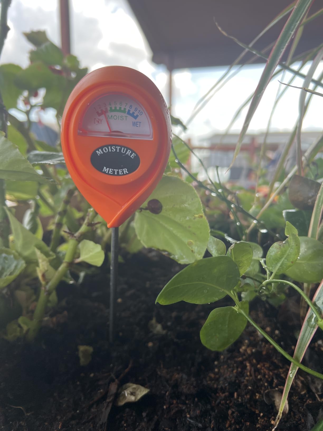 XLUX Plant Soil Moisture Meter, for Indoor and Outdoor use, Battery-Free customer photo 2