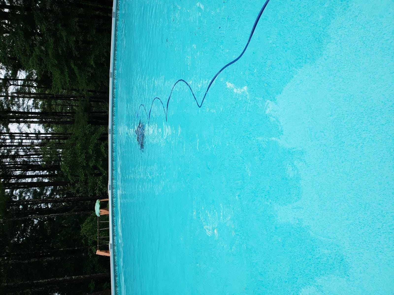 Dolphin Escape Robotic Pool Cleaner (2026 Model) — Massive Top-Loading Filter, Dual Motors, HyperBrush, HyperGrip Tracks, Smart Navigation — for Above Ground & In-Ground Pools up to 33ft customer photo 2