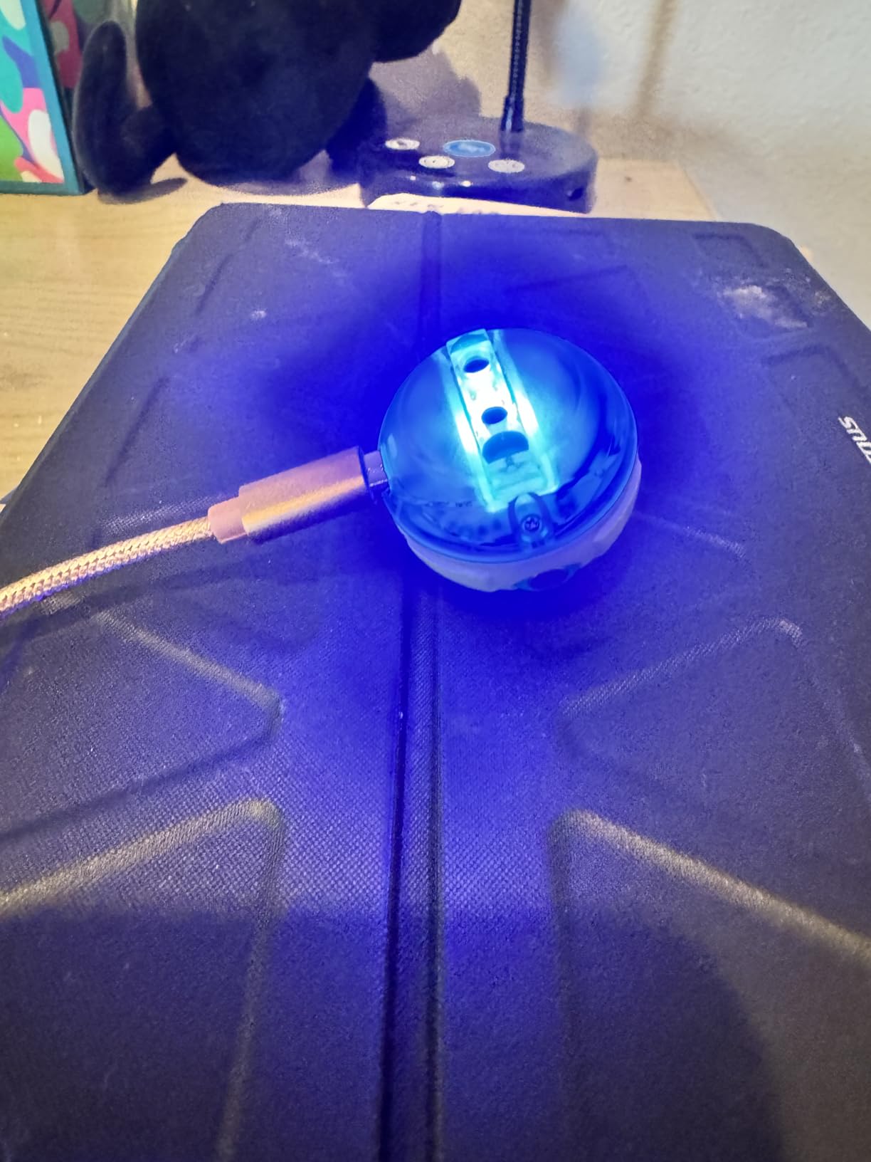 Sphero Mini Green Coding Robot Ball customer photo 2