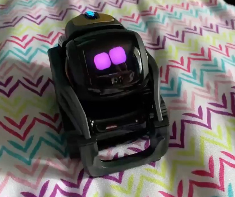 Anki Vector 2.0 AI ChatGPT Connected Robot Companion – Smart Autonomous Home Robot with Face Recognition and Voice Conversations - ChatGPT Subscription Required (Black) customer photo 2