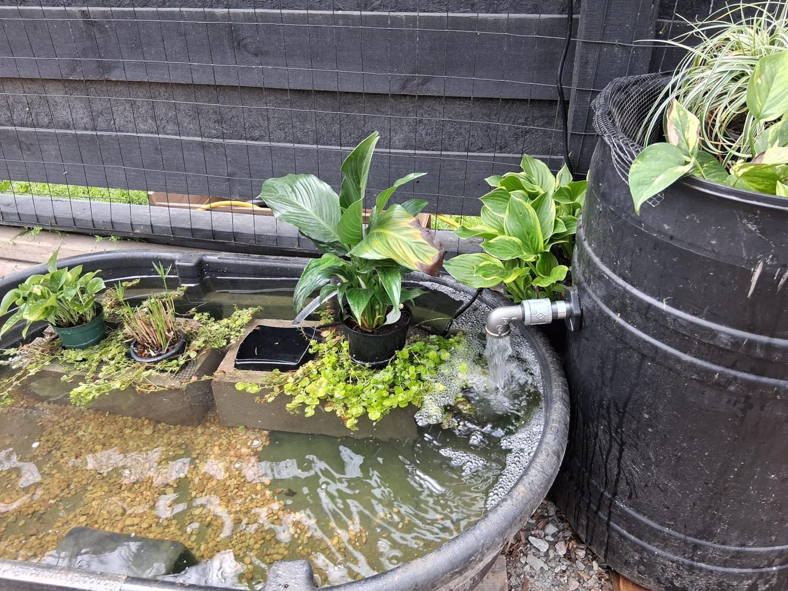 VIVOSUN 800GPH Submersible Fountain Water Pump for Pond, Aquarium, Statuary customer photo 2