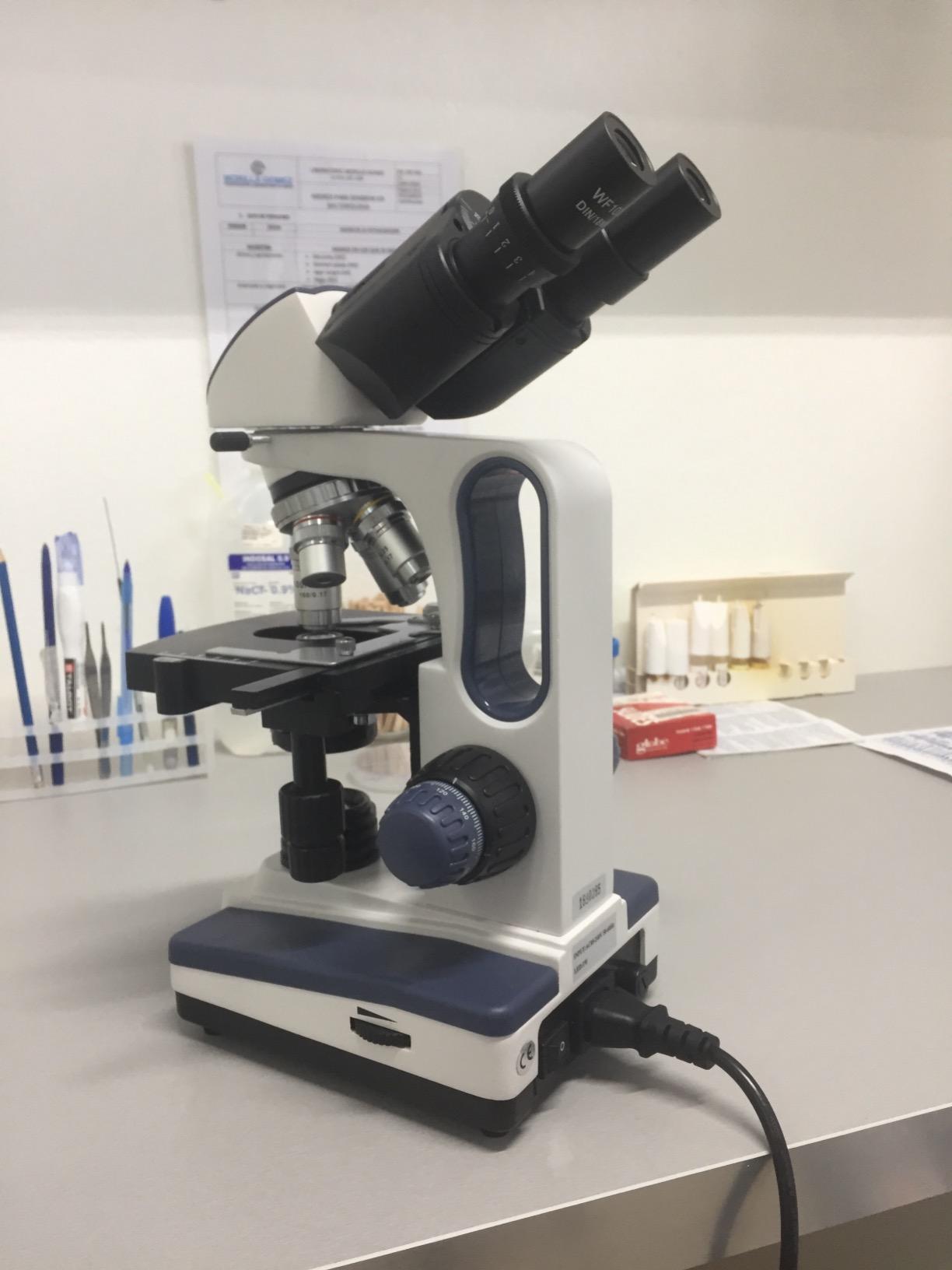 SWIFT SW350B 40X-2500X Magnification, Siedentopf Binocular Head, Research-Grade Compound Lab Microscope with Wide-Field 10X and 25X Eyepieces, Mechanical Stage, Abbe Condenser customer photo 2