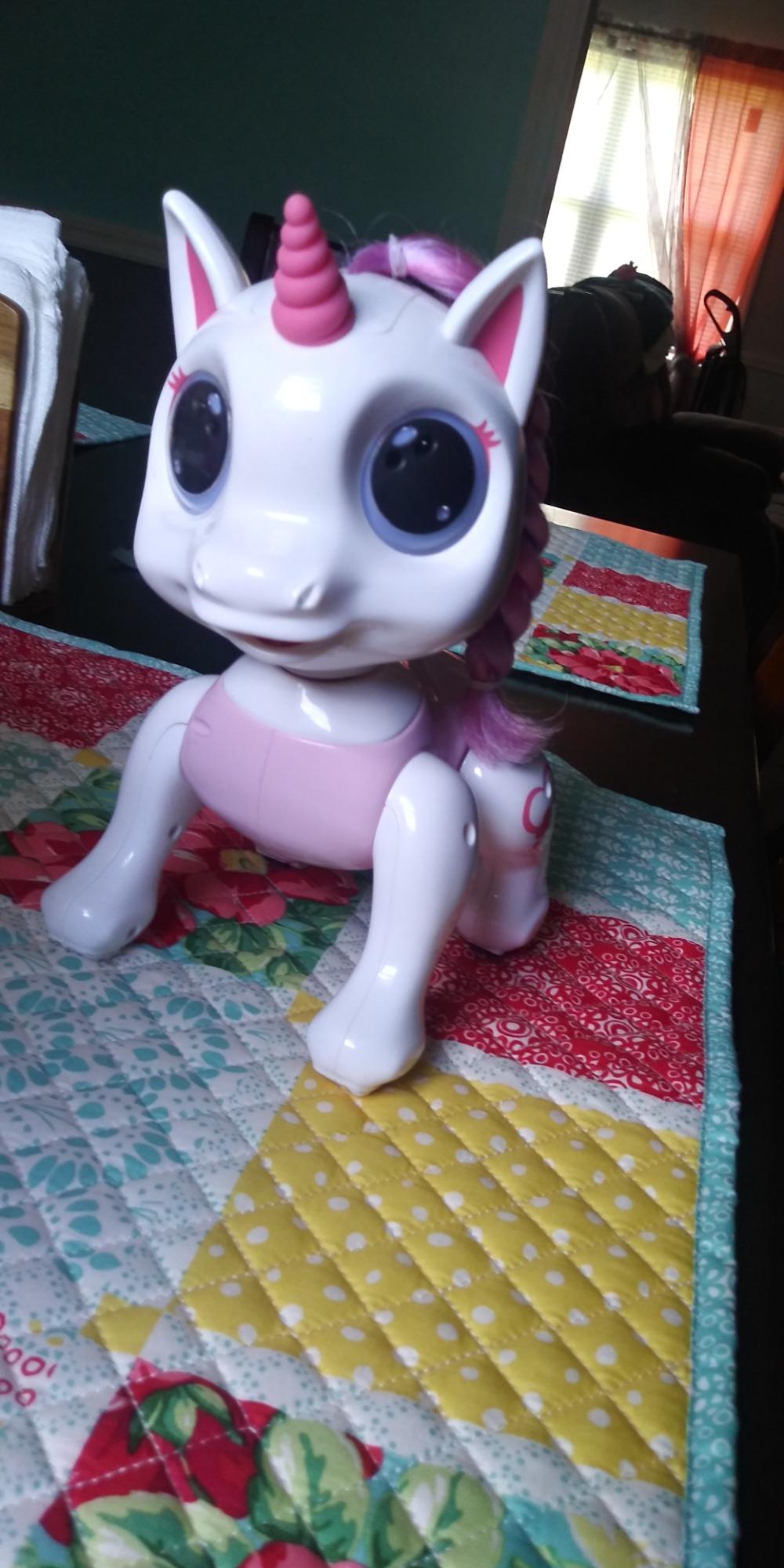 Robo Pets Robot Dog Toy for Girls and Boys - Remote Control Robot Toy Puppy with LEDs, Sound FX, Interactive Hand Motion Gestures, STEM Program Treats, Dancing and Walking RC Pet for Kids (Blue) customer photo 2