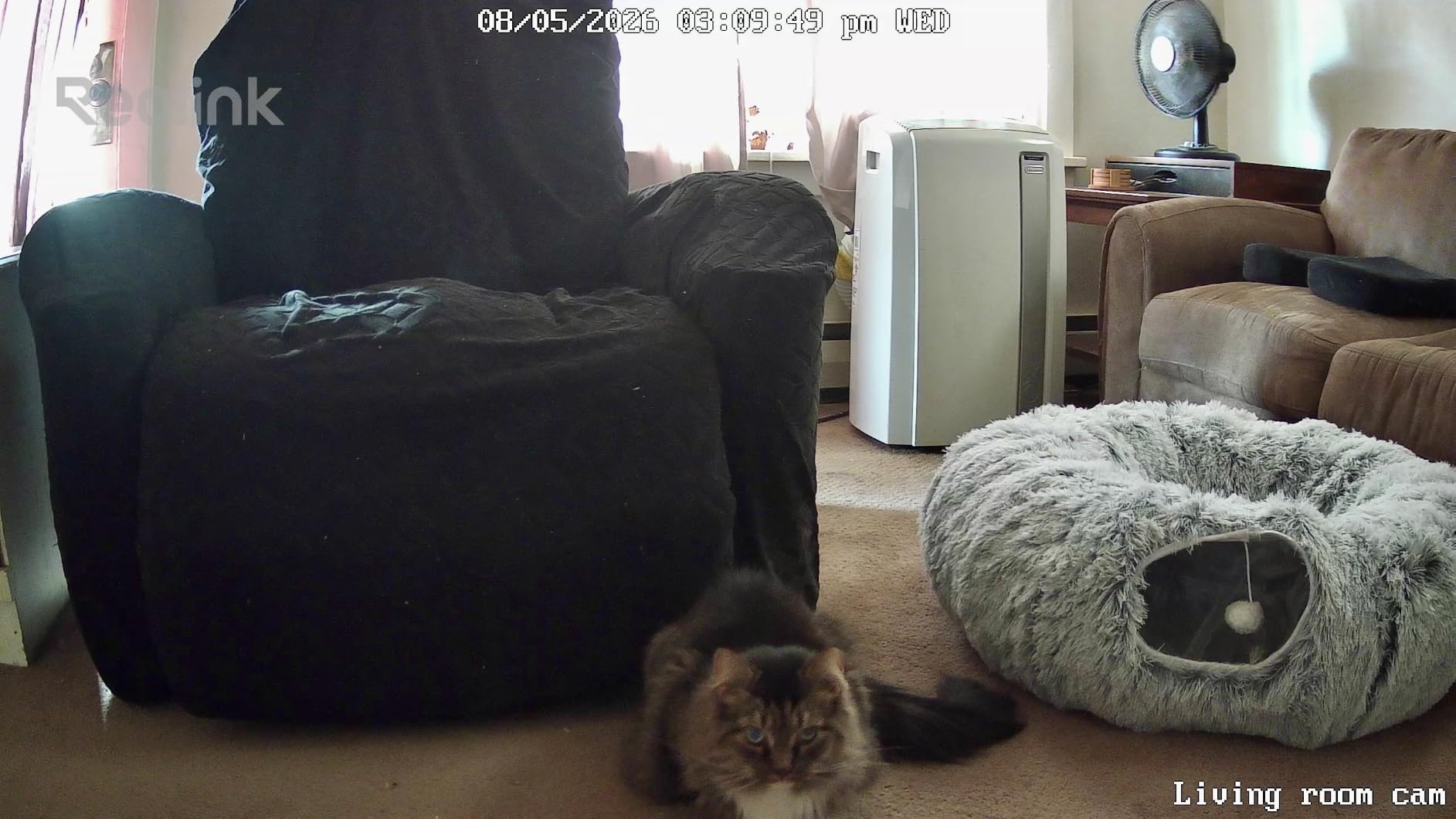 REOLINK 4MP 2K Indoor Camera E1, Plug-in WiFi 6 Security Camera customer photo 1