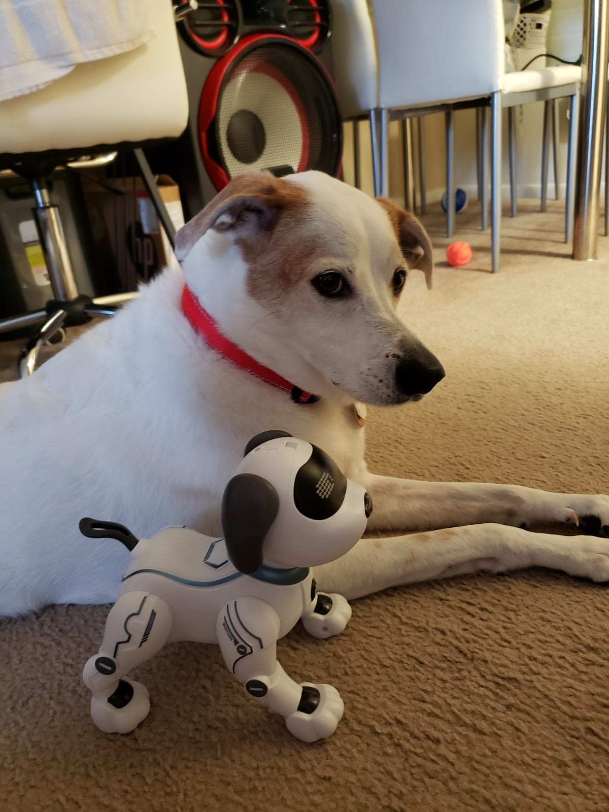 Fisca Remote Control Dog, RC Robotic Stunt Puppy Voice Control Toys Handstand Push-up Electronic Pets Dancing Programmable Robot with Sound for Kids Boys and Girls Age 6, 7, 8, 9, 10 Year Old customer photo 2