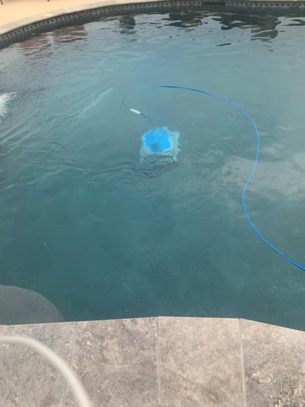 Dolphin Proteus DX5i Wi-Fi Automatic Robotic Pool Vacuum Cleaner, Wall Climbing, Waterline Scrubber Brush, Ideal for In-Ground Pool up to 50 FT in Length customer photo 1