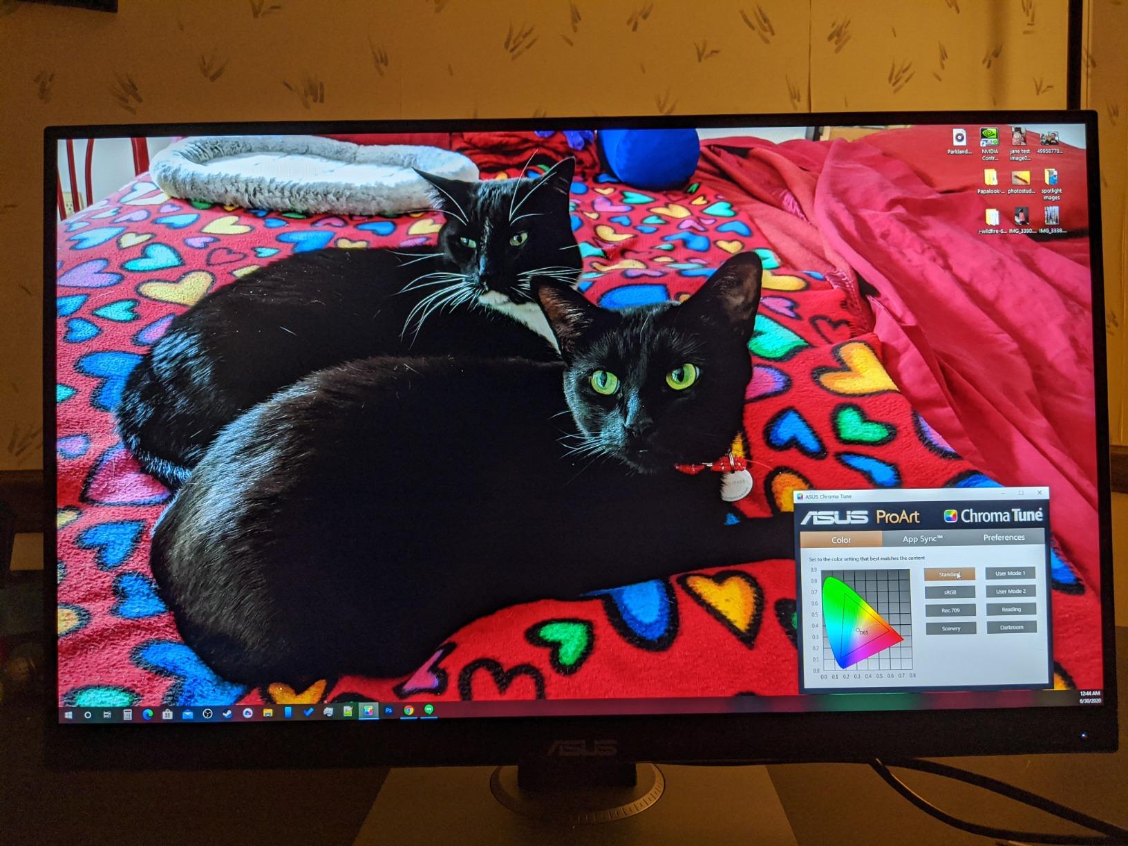 ASUS ProArt PA278QV 27 Inch 1440p QHD Professional Monitor customer photo 1