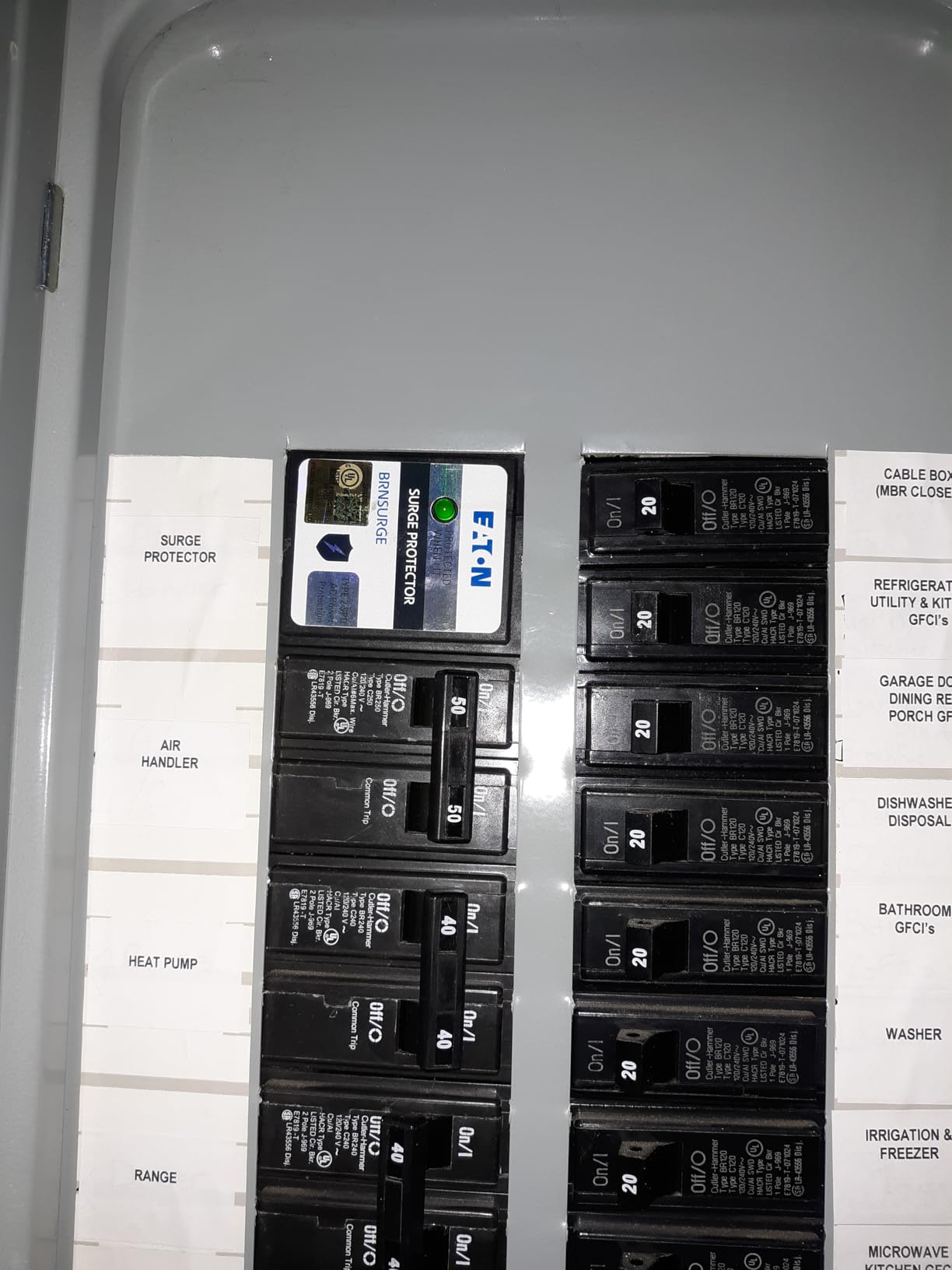 Type BR Circuit Breaker Surge Protective Device, Two Pole, Surge Protective Device customer photo 2