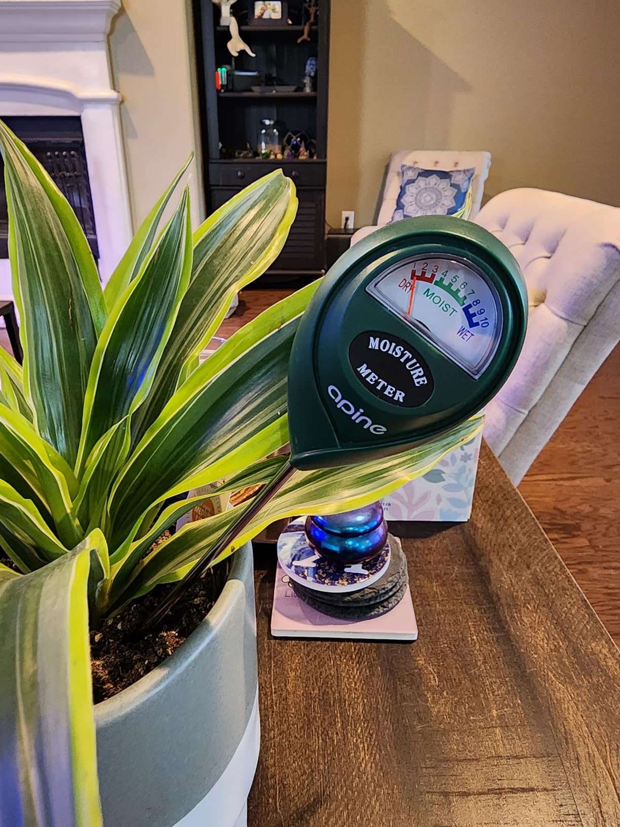 apine Soil Moisture Meter,Plants Moisture Meter,Plant Water Meter for Indoor/Outdoor Plants,Hydrometer for Plants（Green） customer photo 2