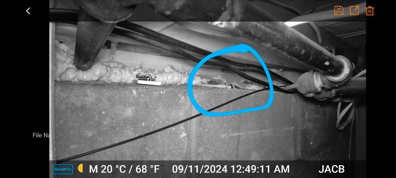 GardePro E6 WiFi Trail Camera, Stable WiFi with External Antenna customer photo 2