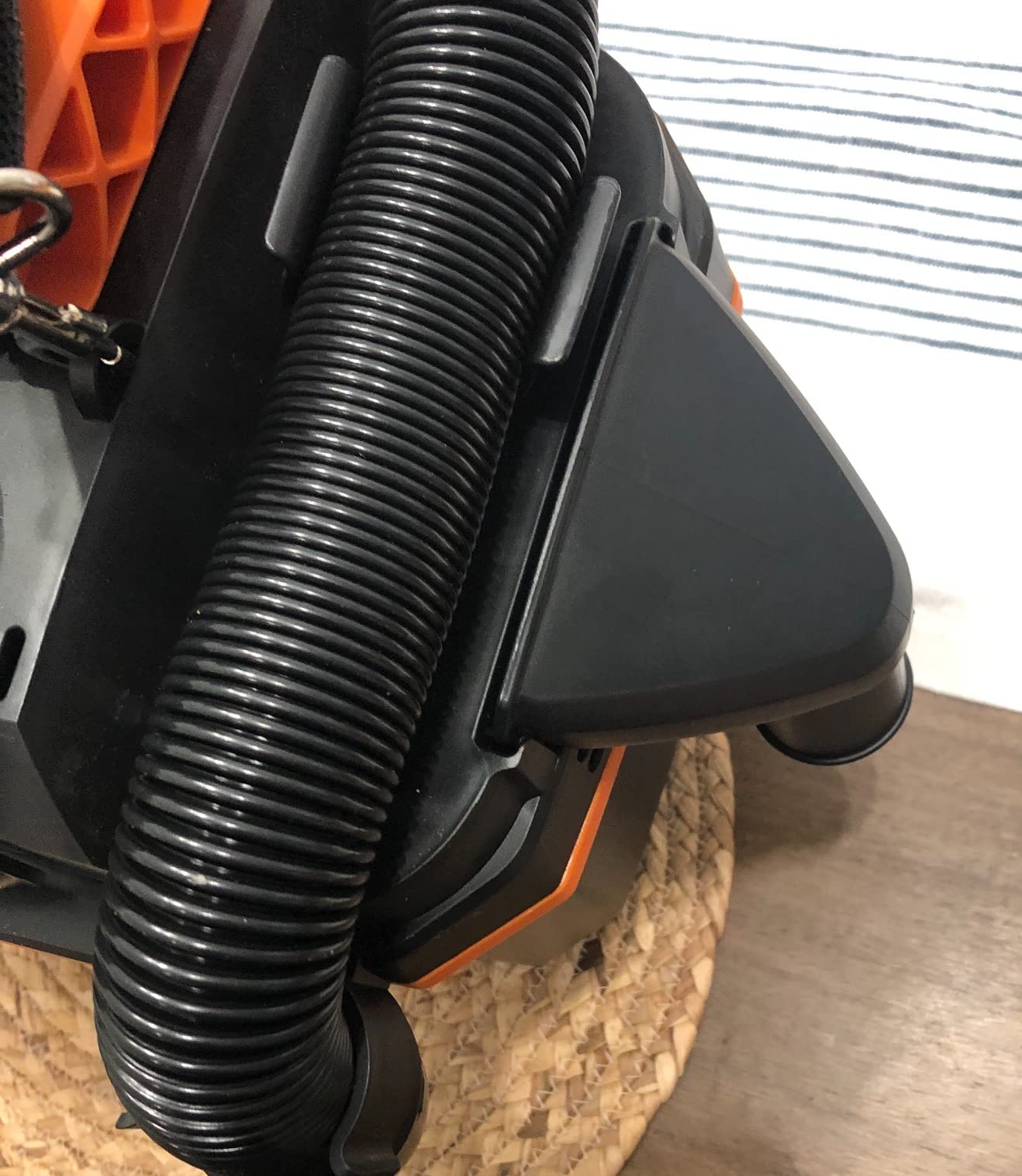 WORX Cordless Wet/Dry Vacuum, 20V 2.1 Gal, WX031L customer photo 1