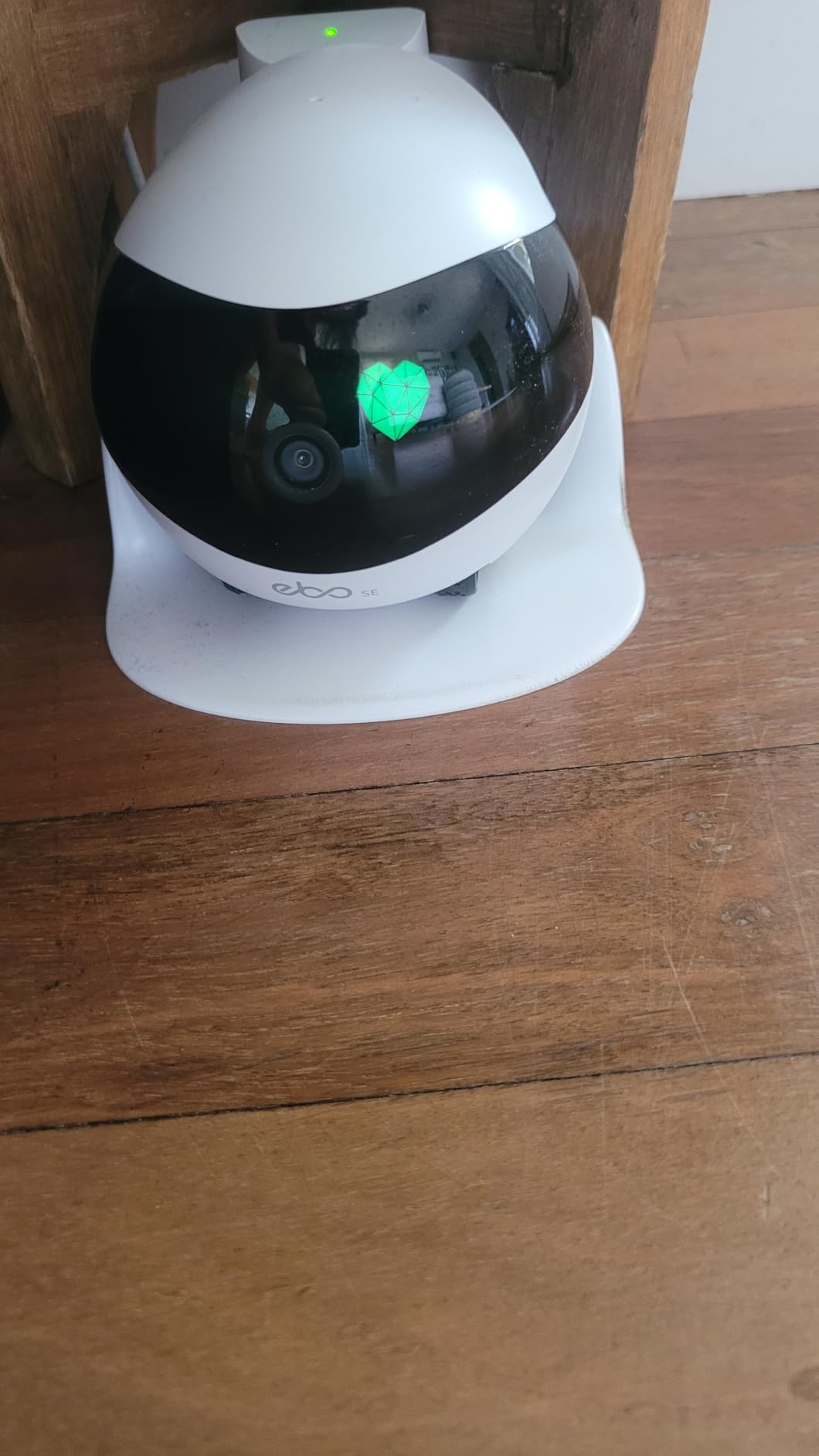 Enabot EBO SE Home Robot Camera: 1080P Mobile FamilyBot Pet Companion customer photo 1