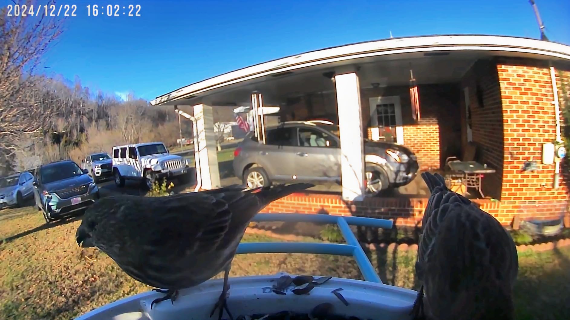 NETVUE by Birdfy Smart Bird Feeder with 2K AI Camera (Feeder 1) customer photo 1