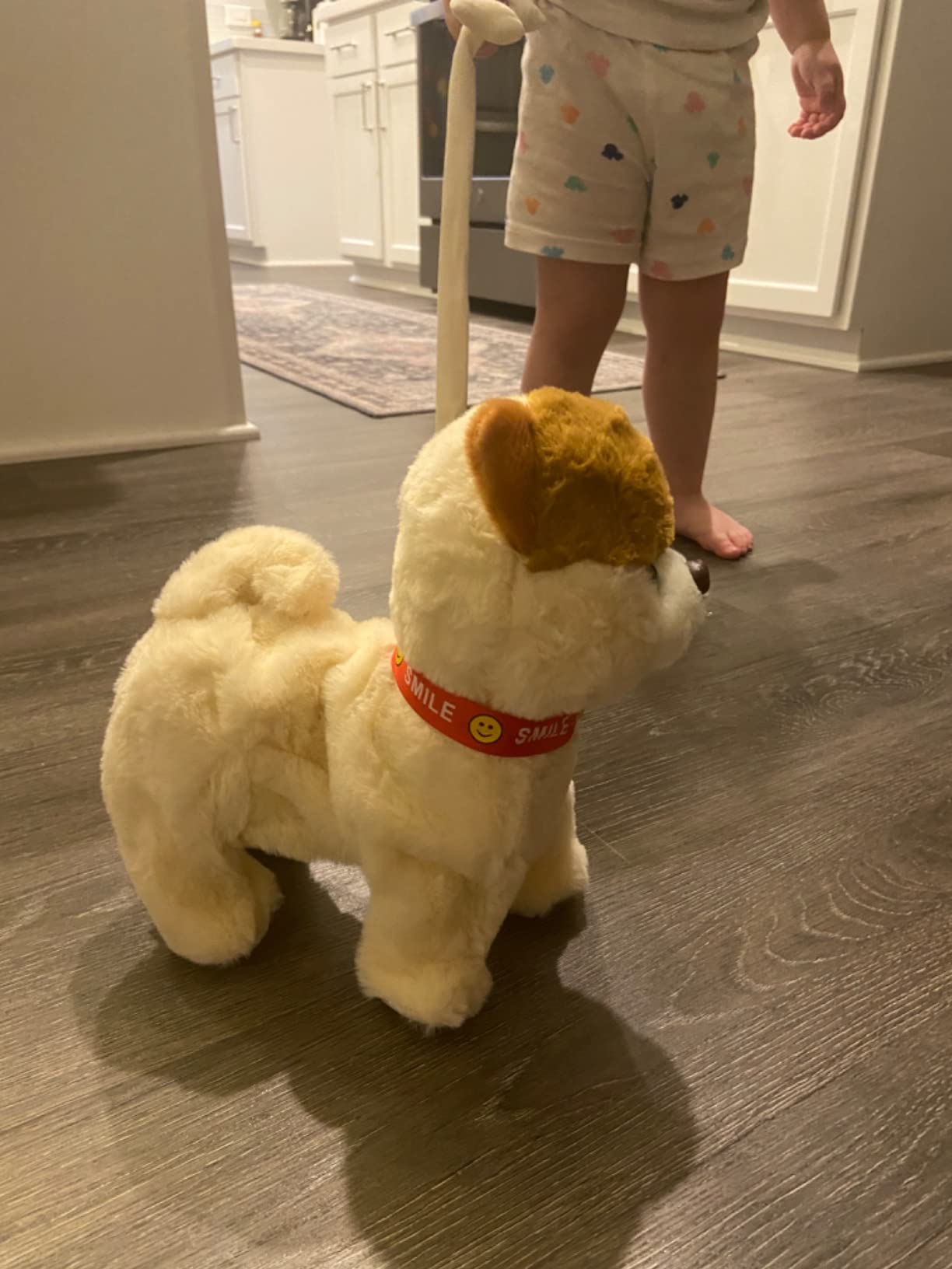 Marsjoy Husky Walking Dog Toy for Girls Barking Puppy with Control Leash, Realistic Wagging Tail Robot Interactive Musical Dancing Animated Plush Stuffed Animal Electronic Pet for Kids Toddlers customer photo 1