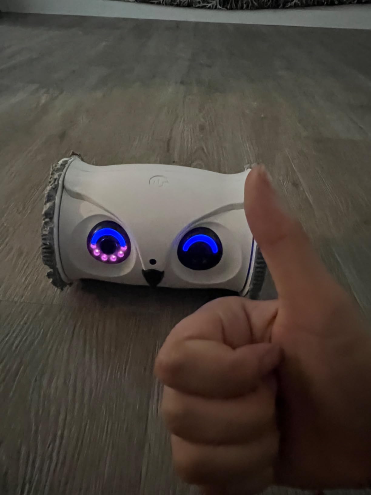 Owl Robot,Pet Camera Treat Dispenser Interactive Toy for Dogs Cats with Remote Phone App Control customer photo 2