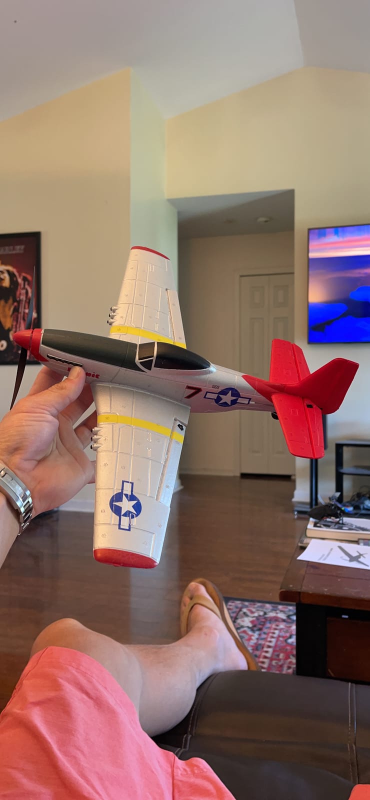 volantexrc RC Plane, 4CH Remote Control Airplane for Beginners & Adults customer photo 2