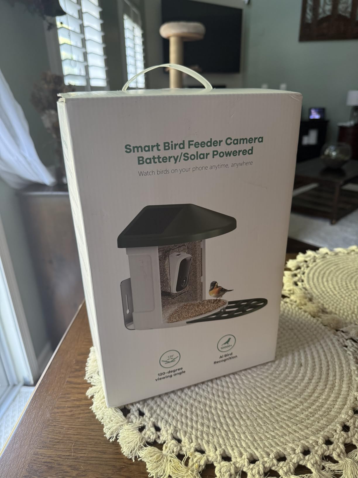 HARYMOR Smart Bird Feeder with Camera - AI Identify Birds Species, Solar Powered Bird House with Cam, 2L Large Capacity, 2K HD Video Live Stream, Instant Arrival Alerts - Green customer photo 1