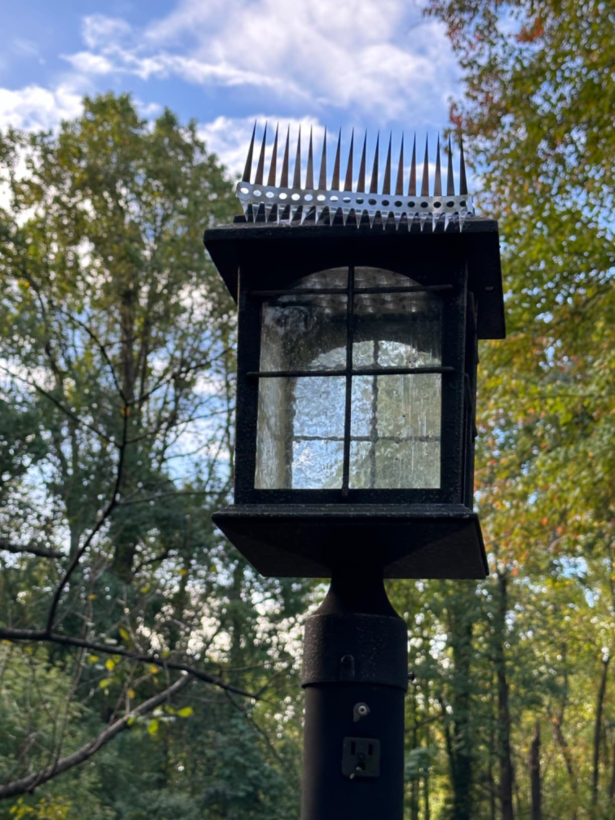 birdsnap® TUC Bird Feeder with Camera Solar Powered 2K Video with 32GB Card customer photo 1