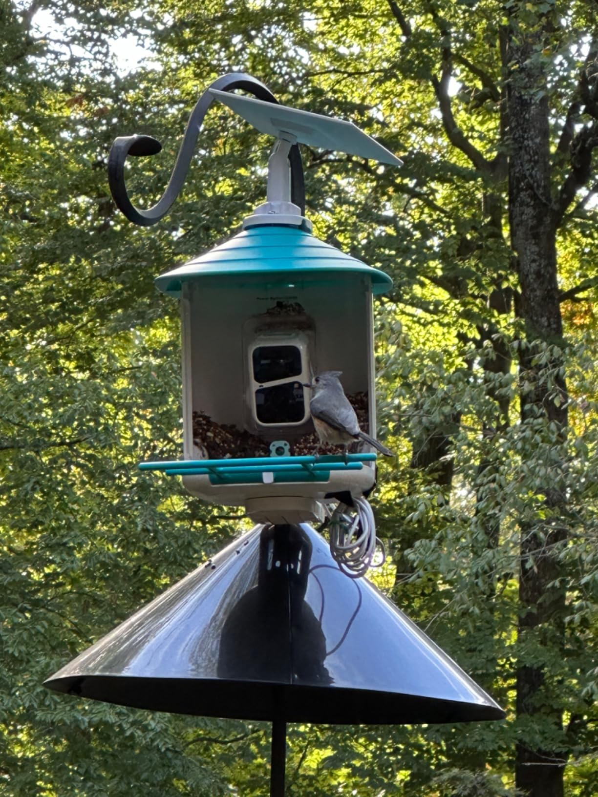 birdsnap® TUC Bird Feeder with Camera Solar Powered 2K Video with 32GB Card customer photo 2