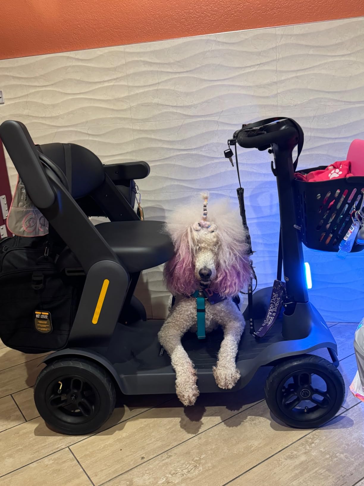 Glashow S3 Folding Mobility Scooter for Seniors & Adults – 4-Wheel All-Terrain Electric Scooter, 25 Mile Range, 6 MPH, 265 lb Capacity, Reverse, LED Lights & Basket – Gray customer photo 2