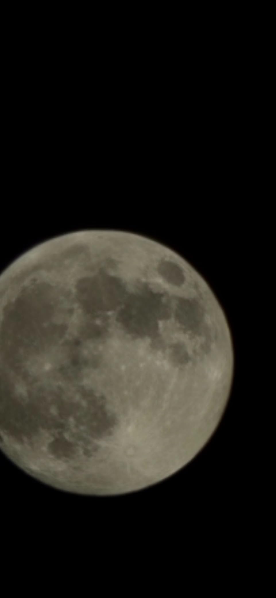 MEEZAA Telescope for Adults High Powered, 90mm Aperture 800mm Refractor customer photo 2