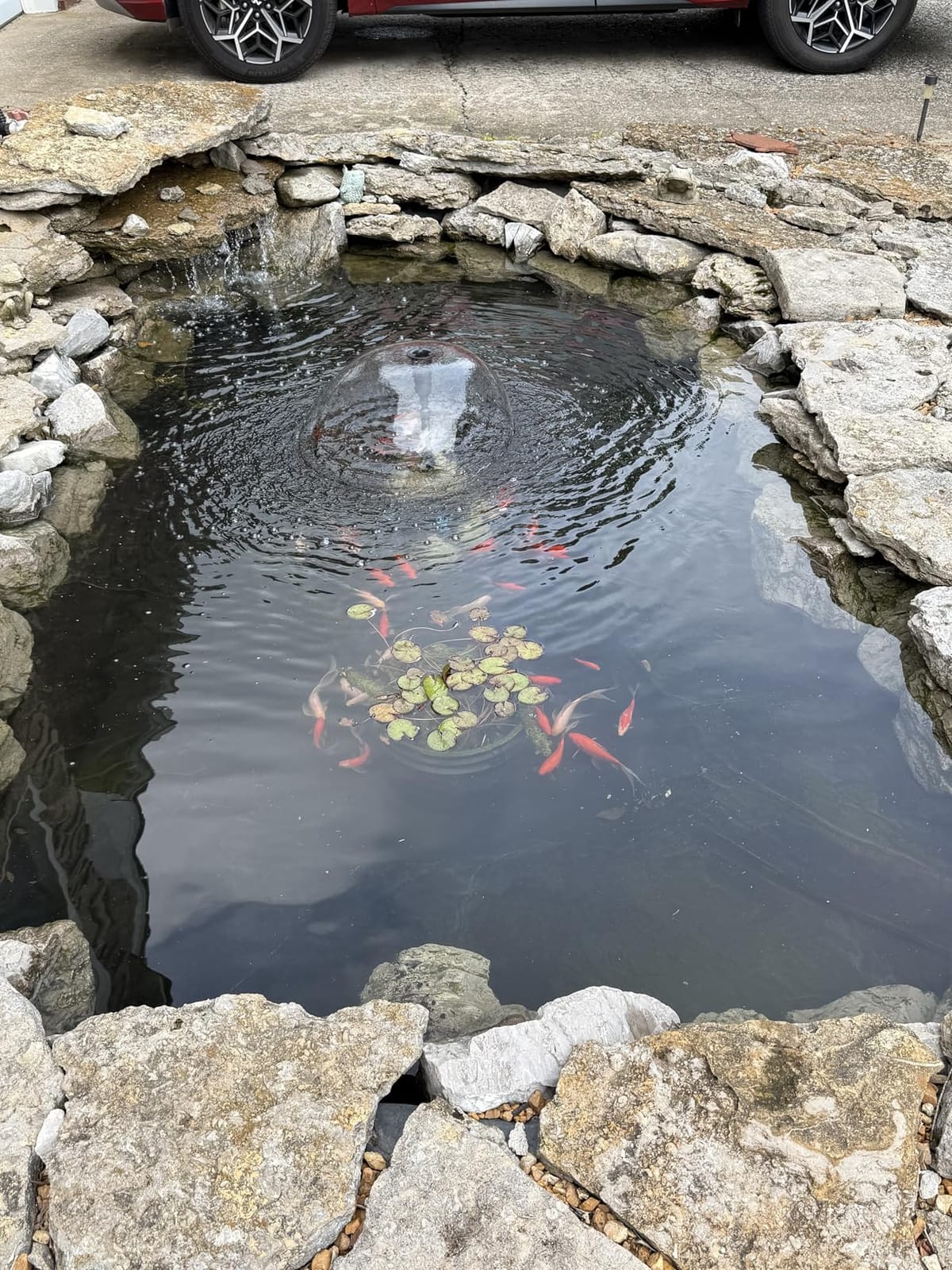 POPOSOAP Pond Filter with Pump Fountain Kits, 660GPH Pond Filter with 40W Pond Pump & Fountain Kit, Koi Pond Filters for Outdoor Ponds Clean, Clear, and Add Water Features(Corded Electric) customer photo 2