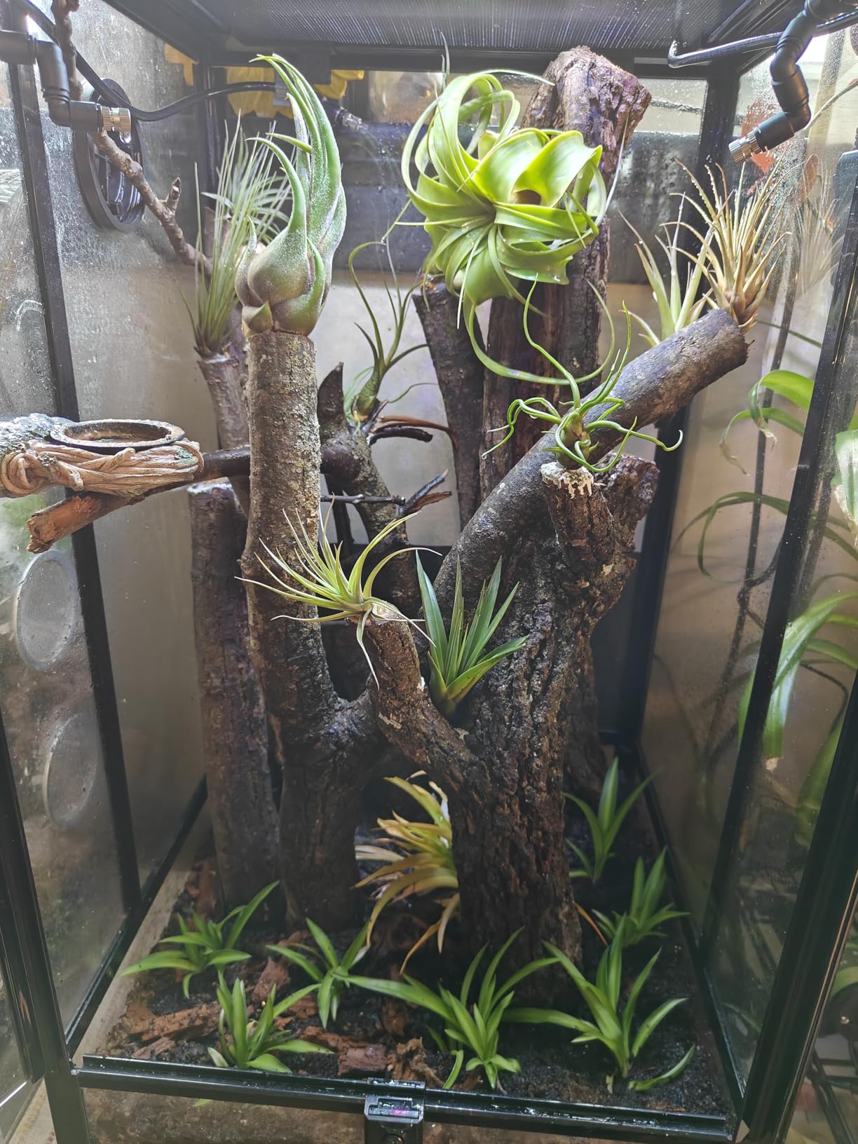 Reptile Misting System with Timer, 6 Nozzles, Self-Priming Pump, Fine Mist customer photo 1