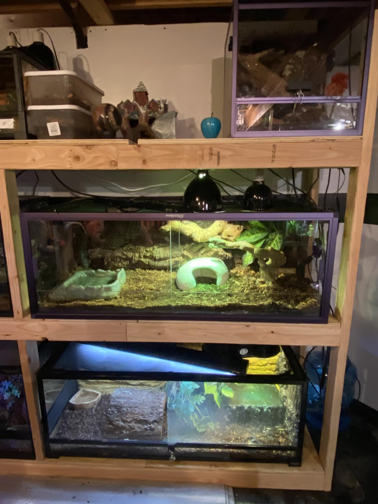 Reptile Misting System with Timer, 6 Nozzles, Self-Priming Pump, Fine Mist customer photo 2