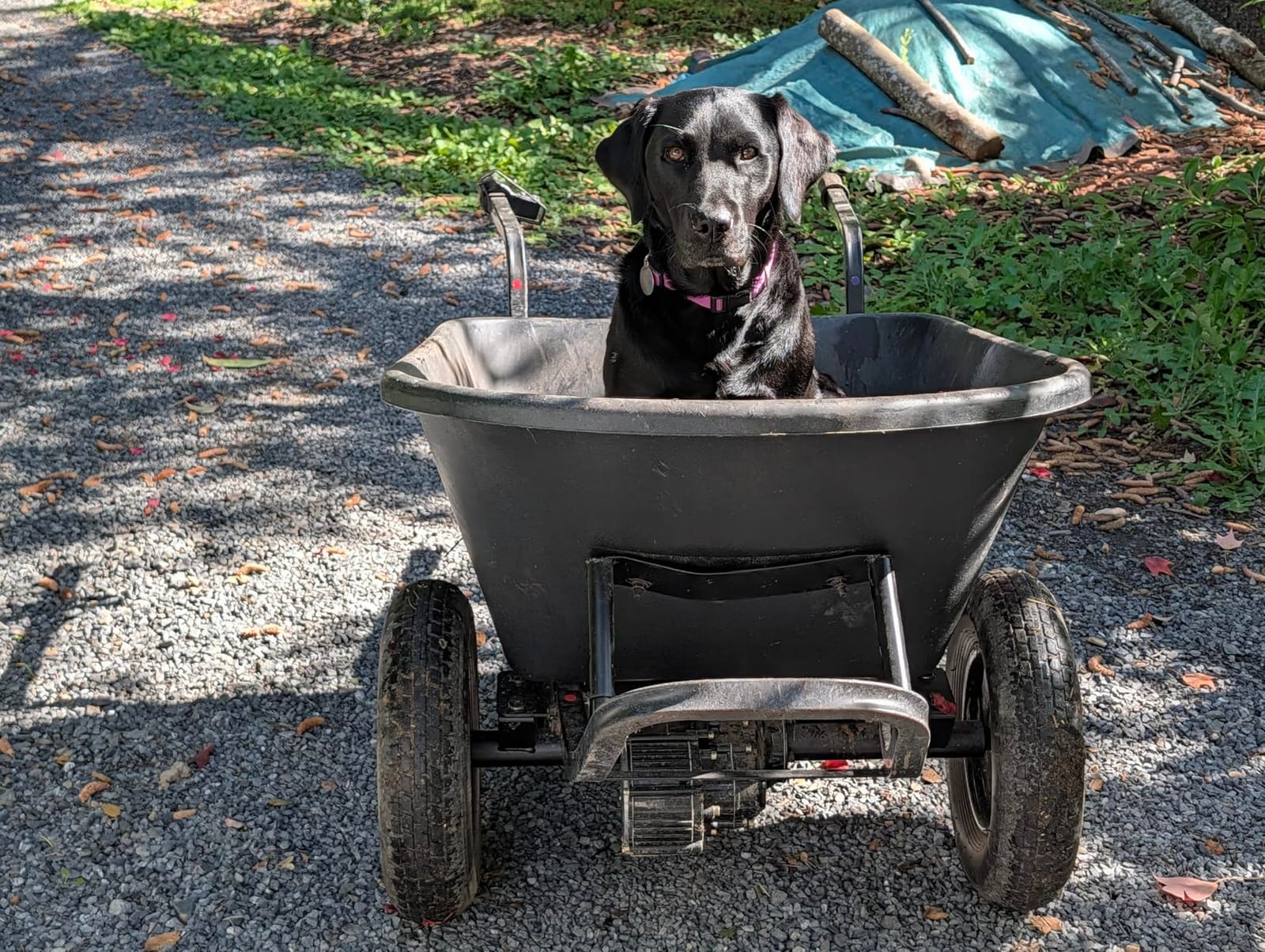 Electric Powered Wheelbarrow 350 LBS Capacity and 6 Cu FT Poly Tray 8 Hour Battery Life customer photo 1
