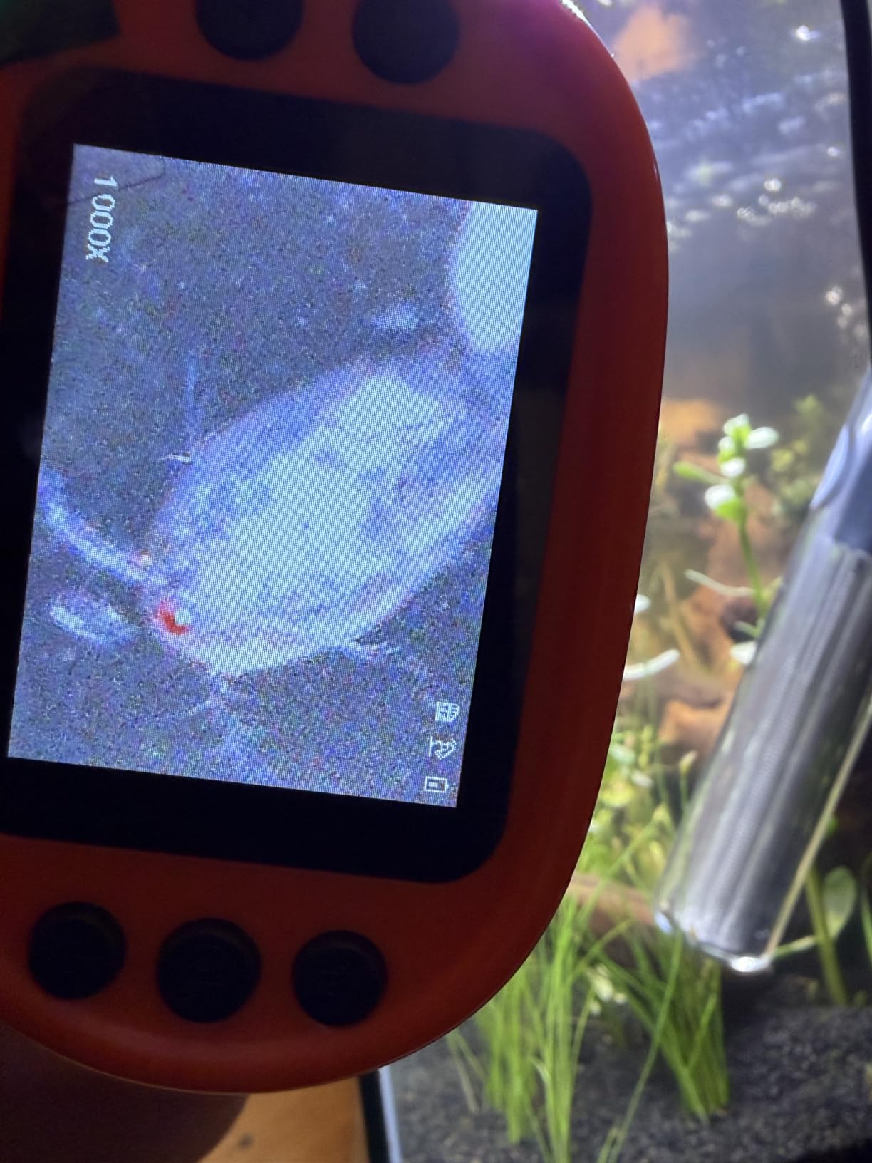 Kids Digital Microscope STEM Toy: Complete Science Gift Kit for Ages 4-12 customer photo 2