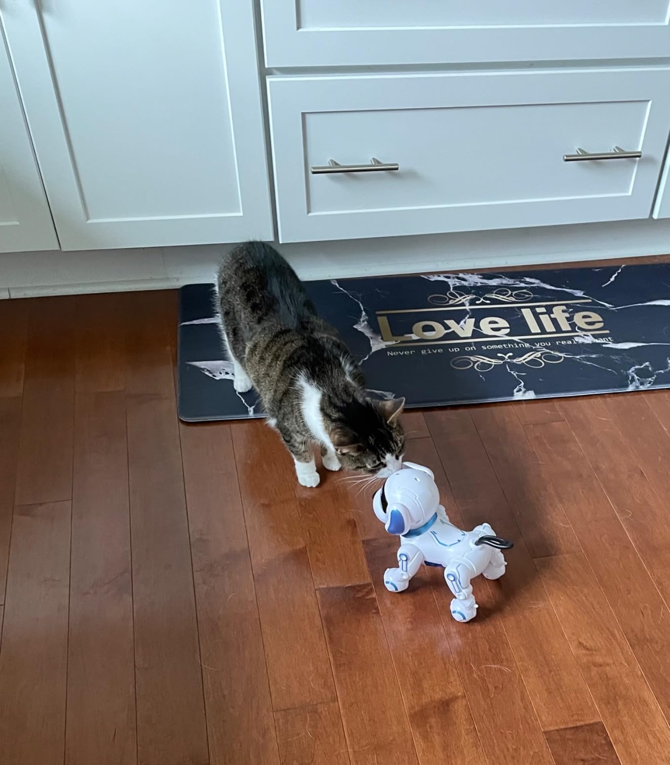 Dwi Dowellin Robot Dog for Kids 8-12,Remote Control Smart Robotic Dogs Pet Puppy Robotic Toy,Interactive Touch Walking Talking Toys for Boys Girls Christmas Birthday Gifts customer photo 2