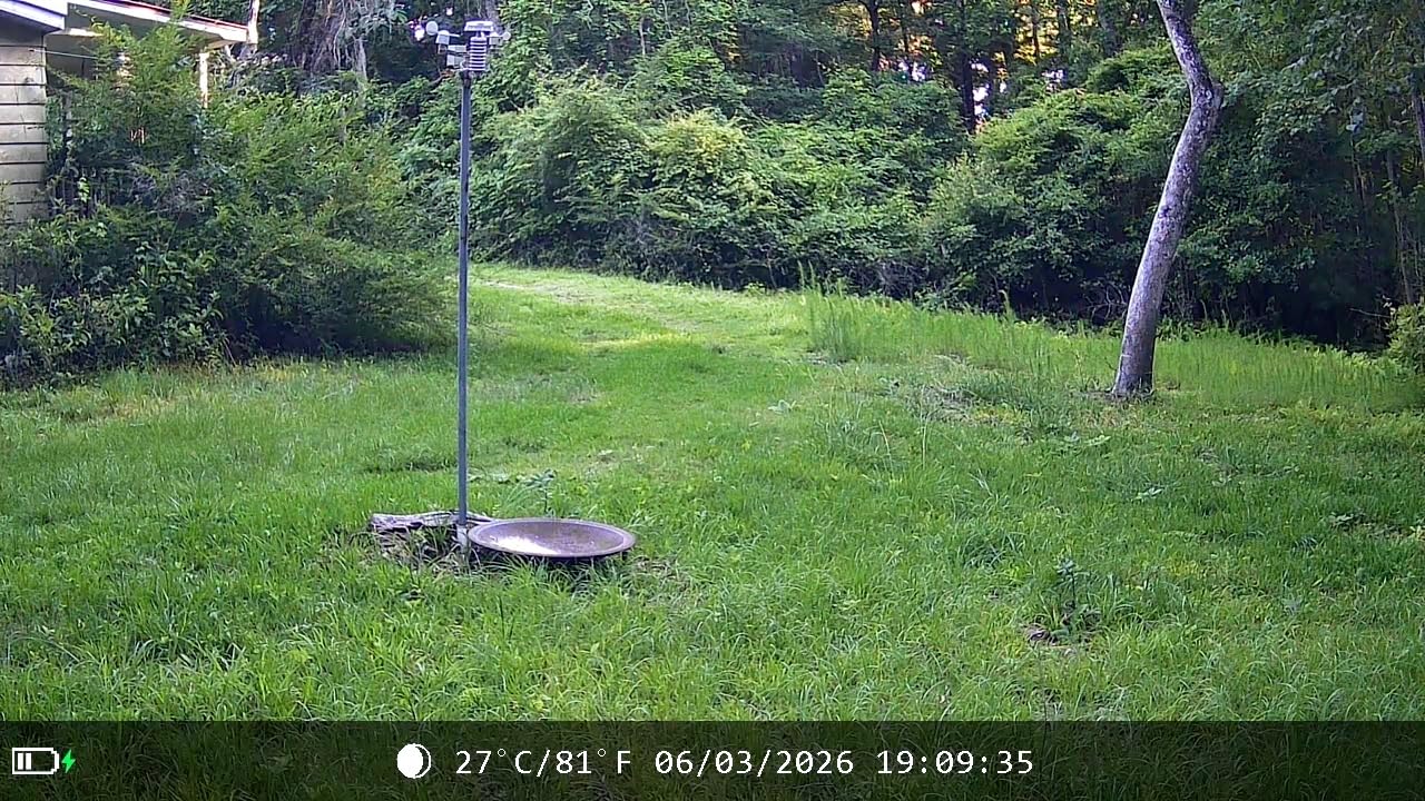 MAXDONE Solar Trail Camera WiFi Bluetooth, 4K 64MP Night Vision Game Camera customer photo 2