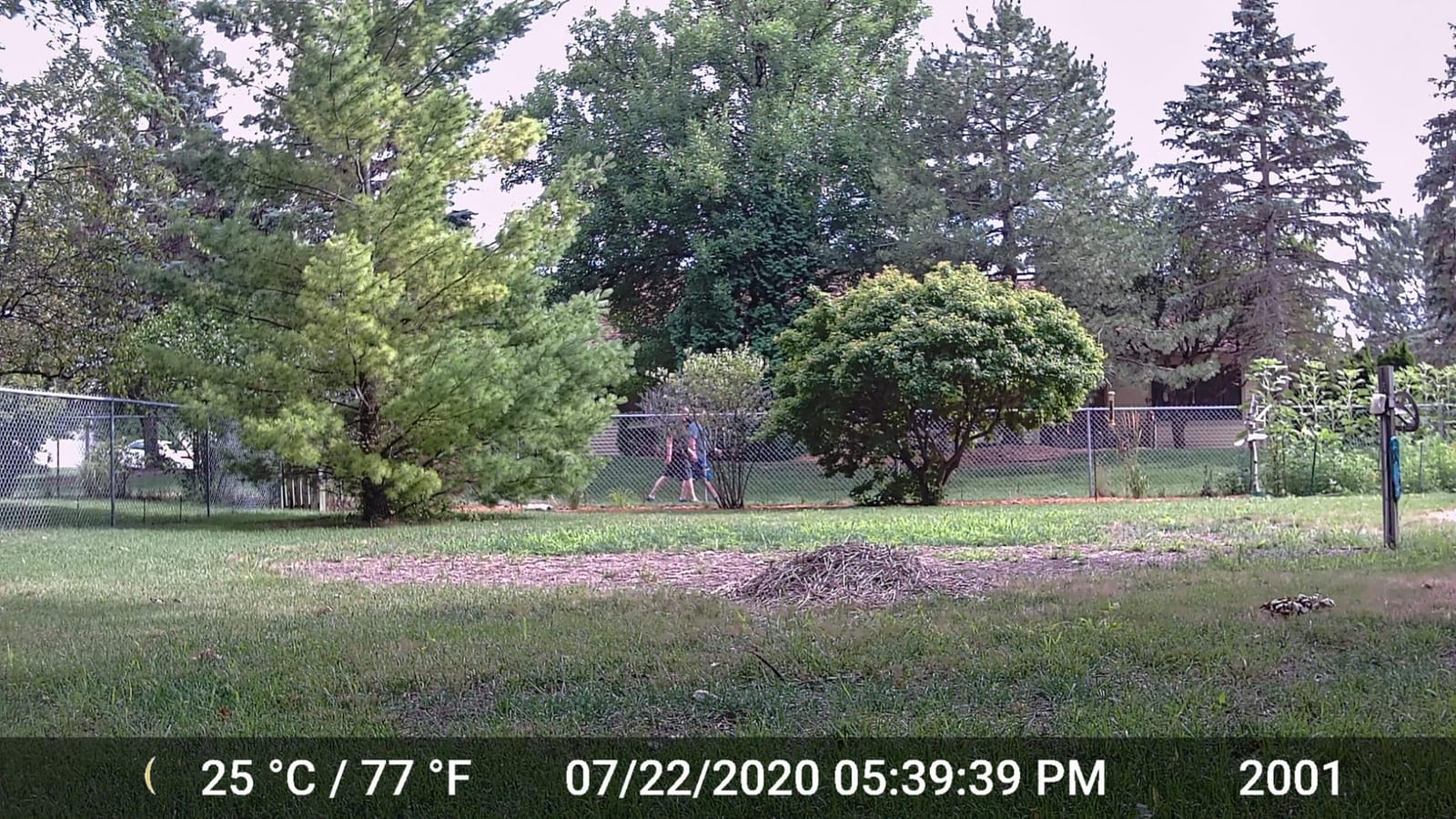 GardePro A3S 2-Pack Trail Camera, 64MP Photo, 1296P HD Video with Sound customer photo 2