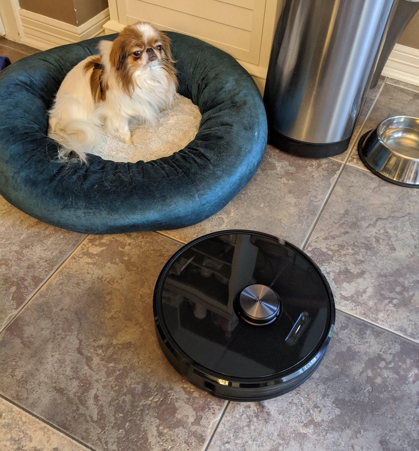 roborock Q10 S5+ Robot Vacuum and Mop, 10,000Pa Suction customer photo 2