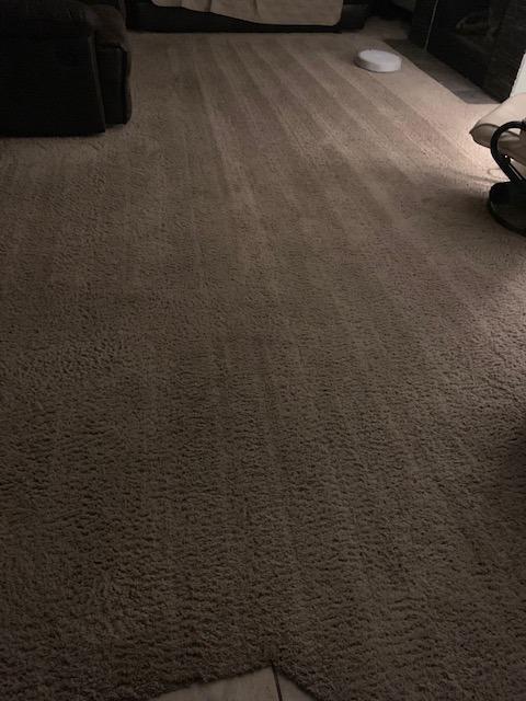 roborock Q10 S5+ Robot Vacuum and Mop, 10,000Pa Suction customer photo 2