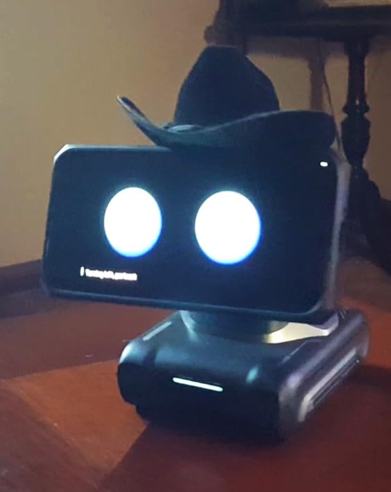 LOOI Robot-Space Black-AI Desktop Companion,ChatGPT&Gemini Voice Interaction,Visual Understanding,Personality&Memory,10W Wireless Charging,Tech&Gadget Gift,Electronic pets,Toy,Geek,Desktop Setup customer photo 1