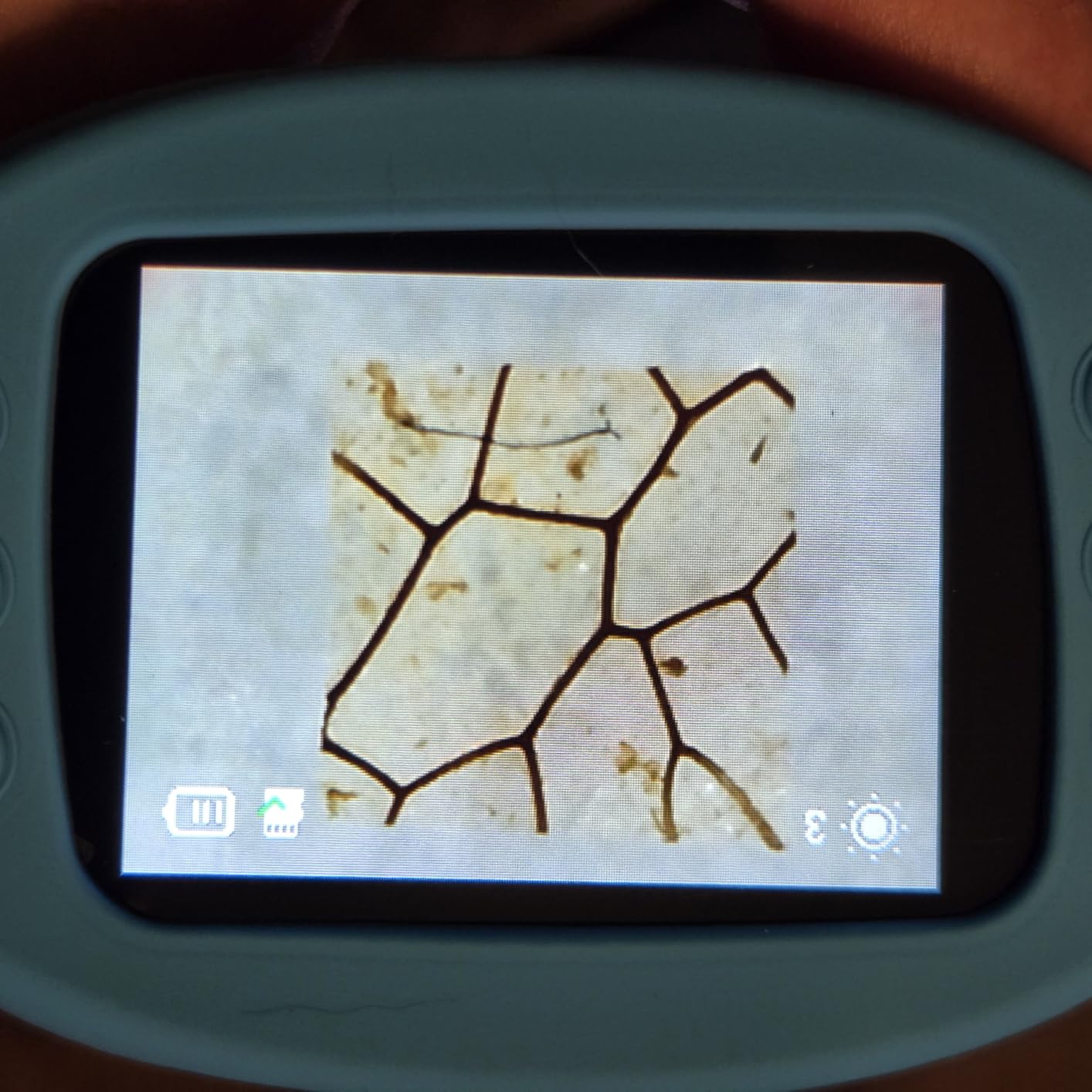 Odatay 4K 1000X Digital Microscope for Kids with 32G Card, Long Distance Viewing & 2.4