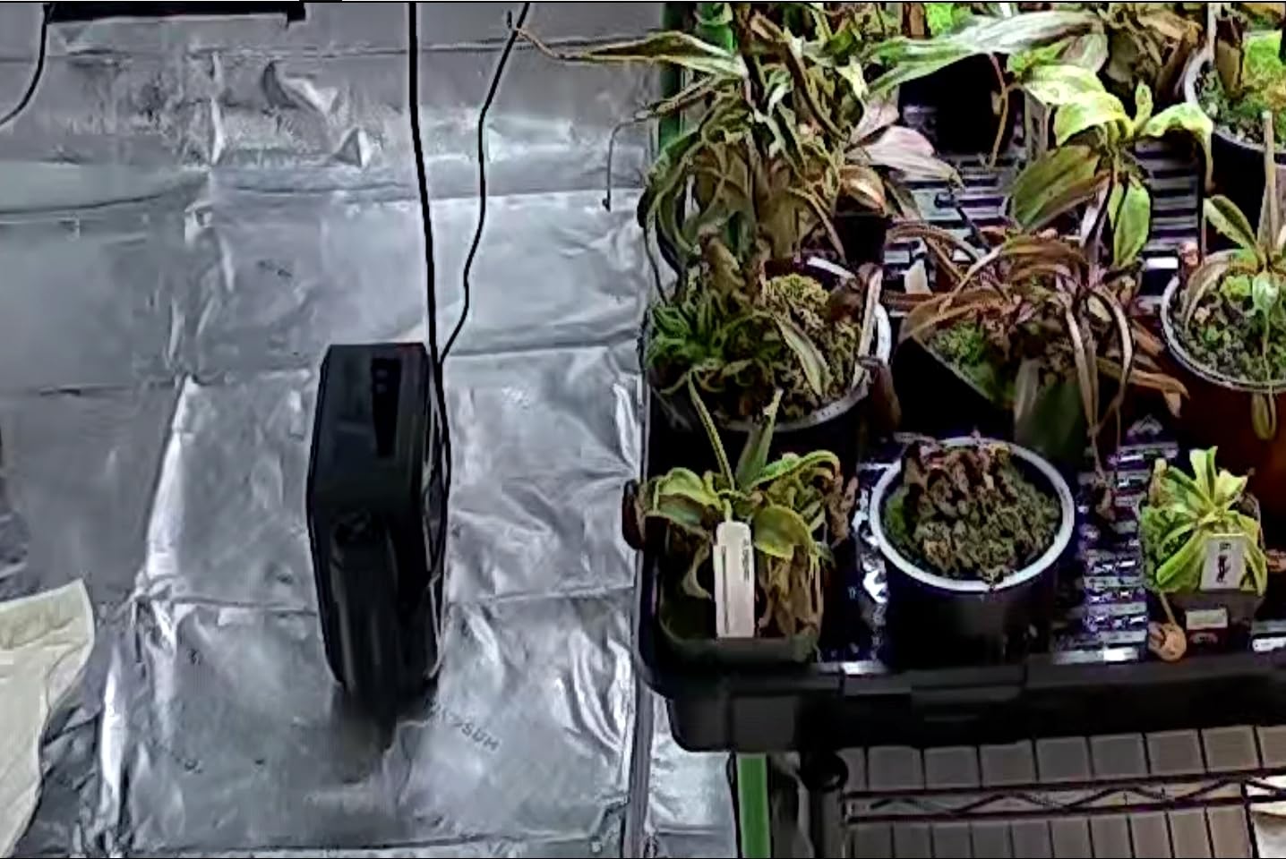 VIVOSUN AeroFlux 700W PTC Grow Tent Heater with Thermostat, APP & VPD customer photo 1