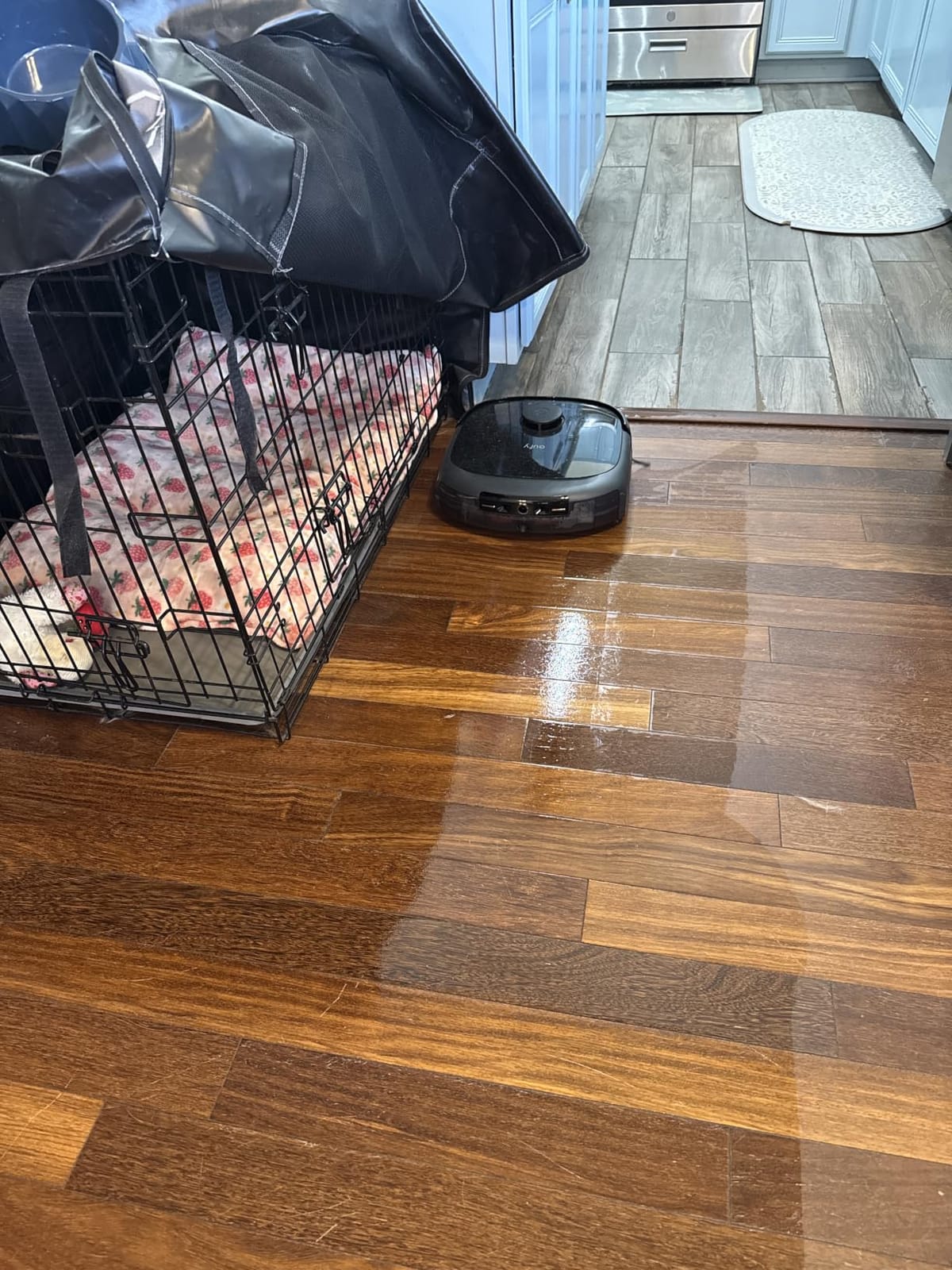 eufy E25 Robot Vacuum and Mop Combo, 20,000 Pa, HydroJet Roller Mop customer photo 2