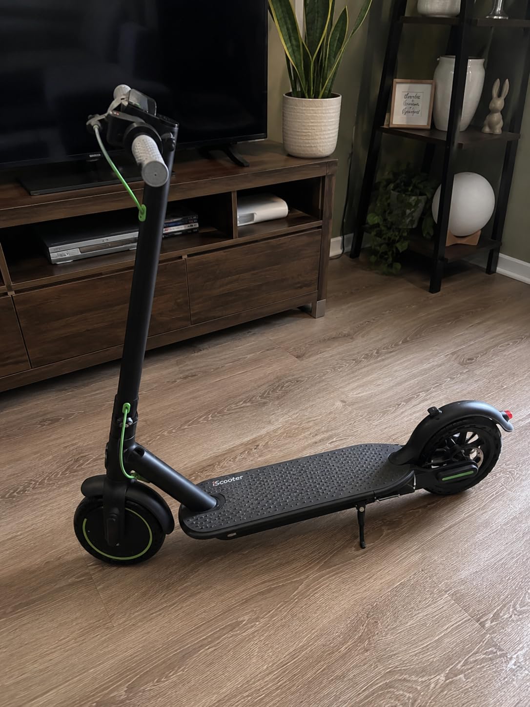 Roinside Electric Scooter - 350W/500W Motor, 8.5